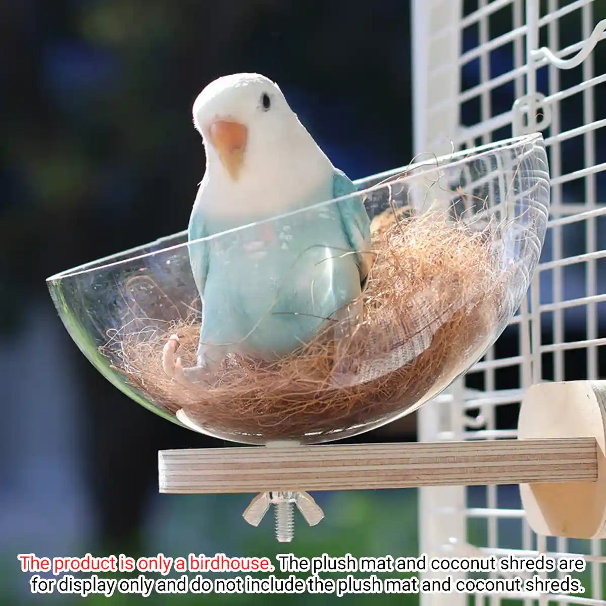 Transparent Bird Nest Capsule Wooden Wall-Mount Design Hummingbird House