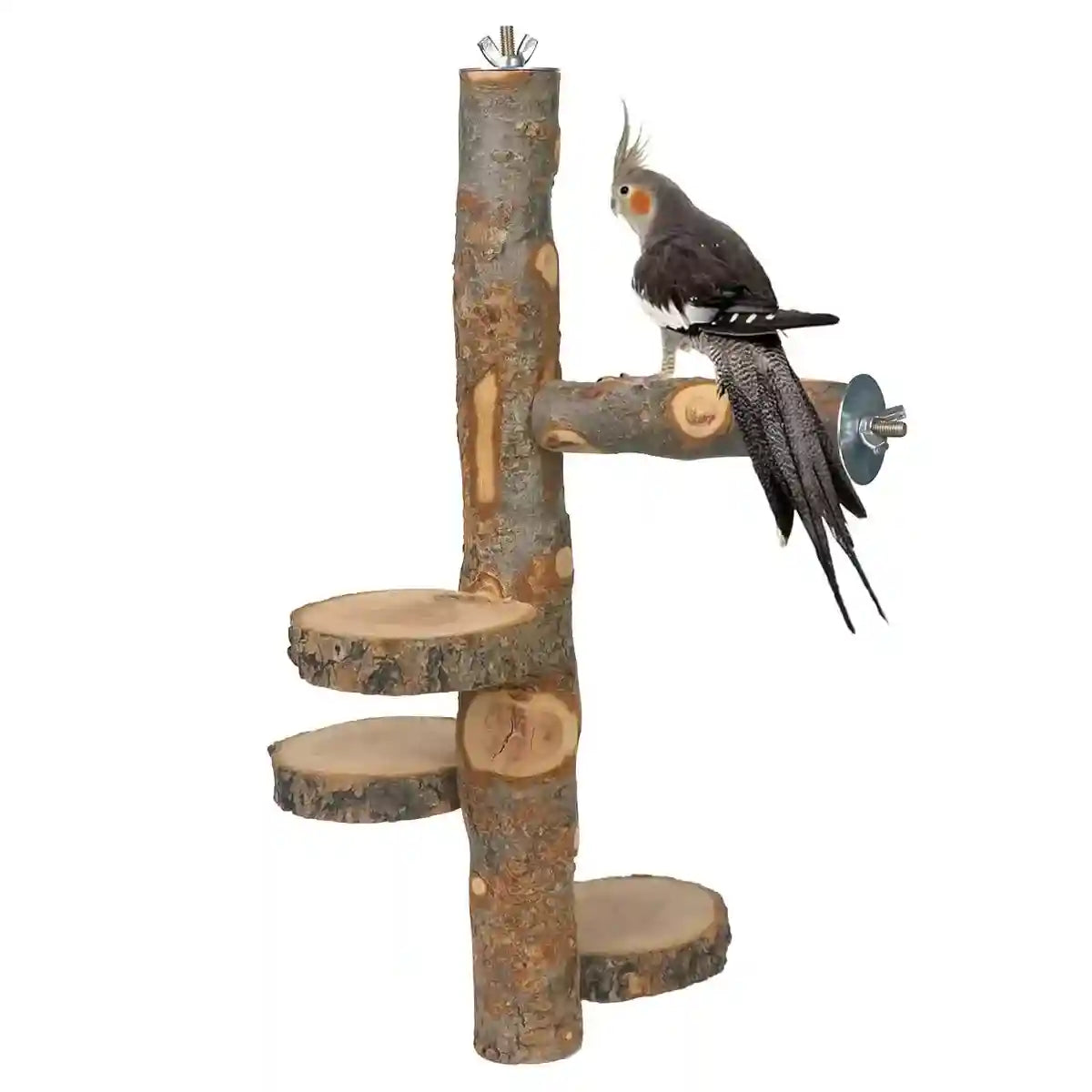 Small Pet Wooden Stand Climbing Platform for Birds Chinchillas & Rodents