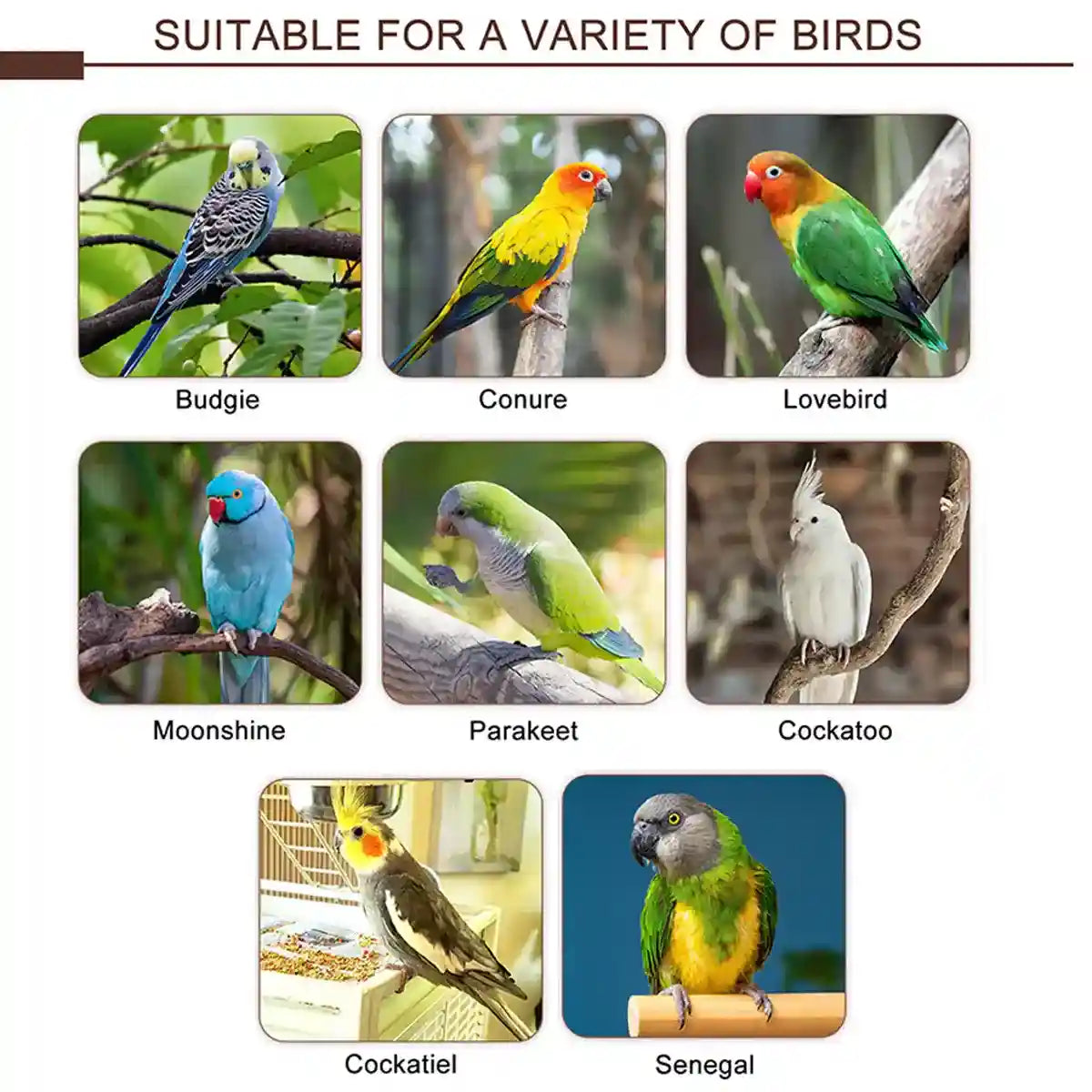 Climbing Ladder Parrot Stand with Natural Perches for Birds