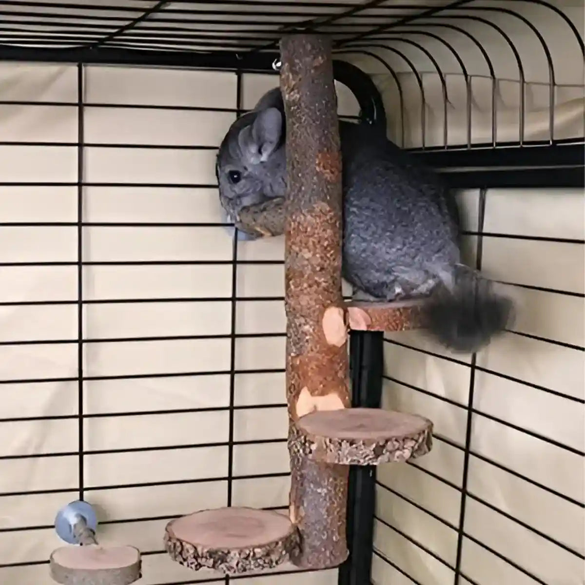 Small Pet Wooden Stand Climbing Platform for Birds Chinchillas & Rodents