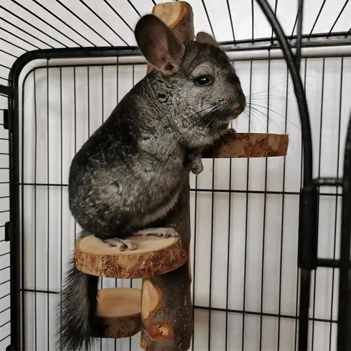 Small Pet Wooden Stand Climbing Platform for Birds Chinchillas & Rodents