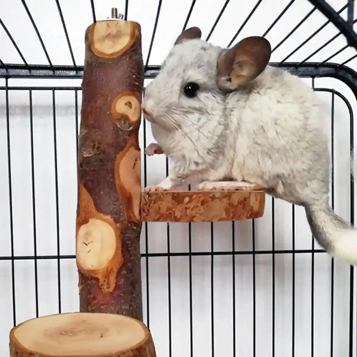 Small Pet Wooden Stand Climbing Platform for Birds Chinchillas & Rodents