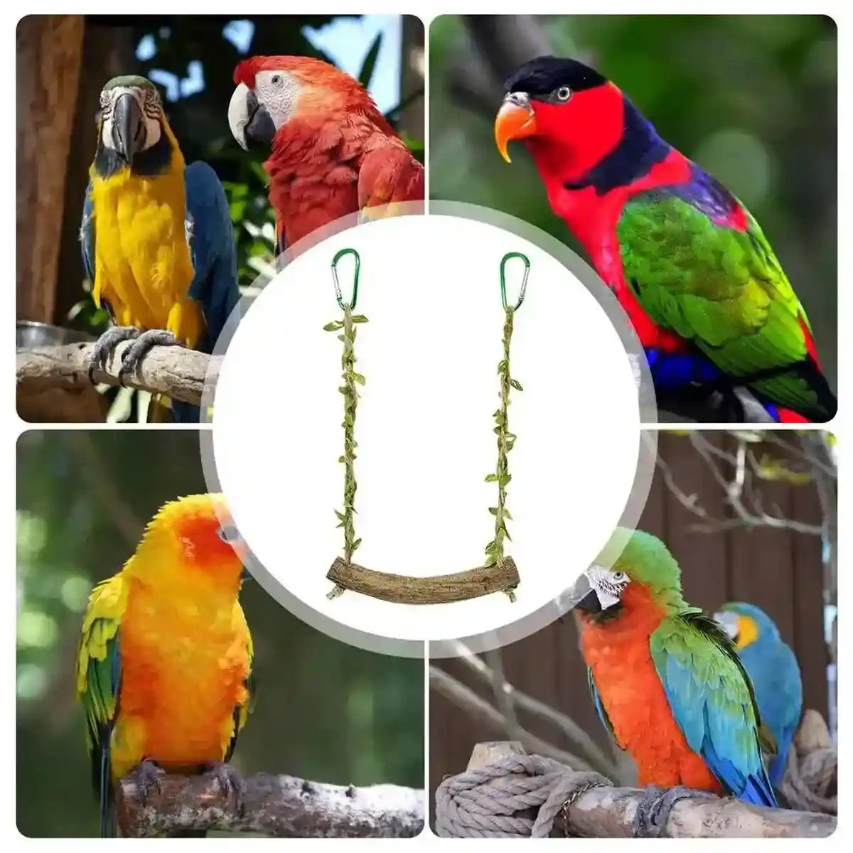 Durable Bird Swing with Natural Rattan Perch for Parrots & Cockatiels