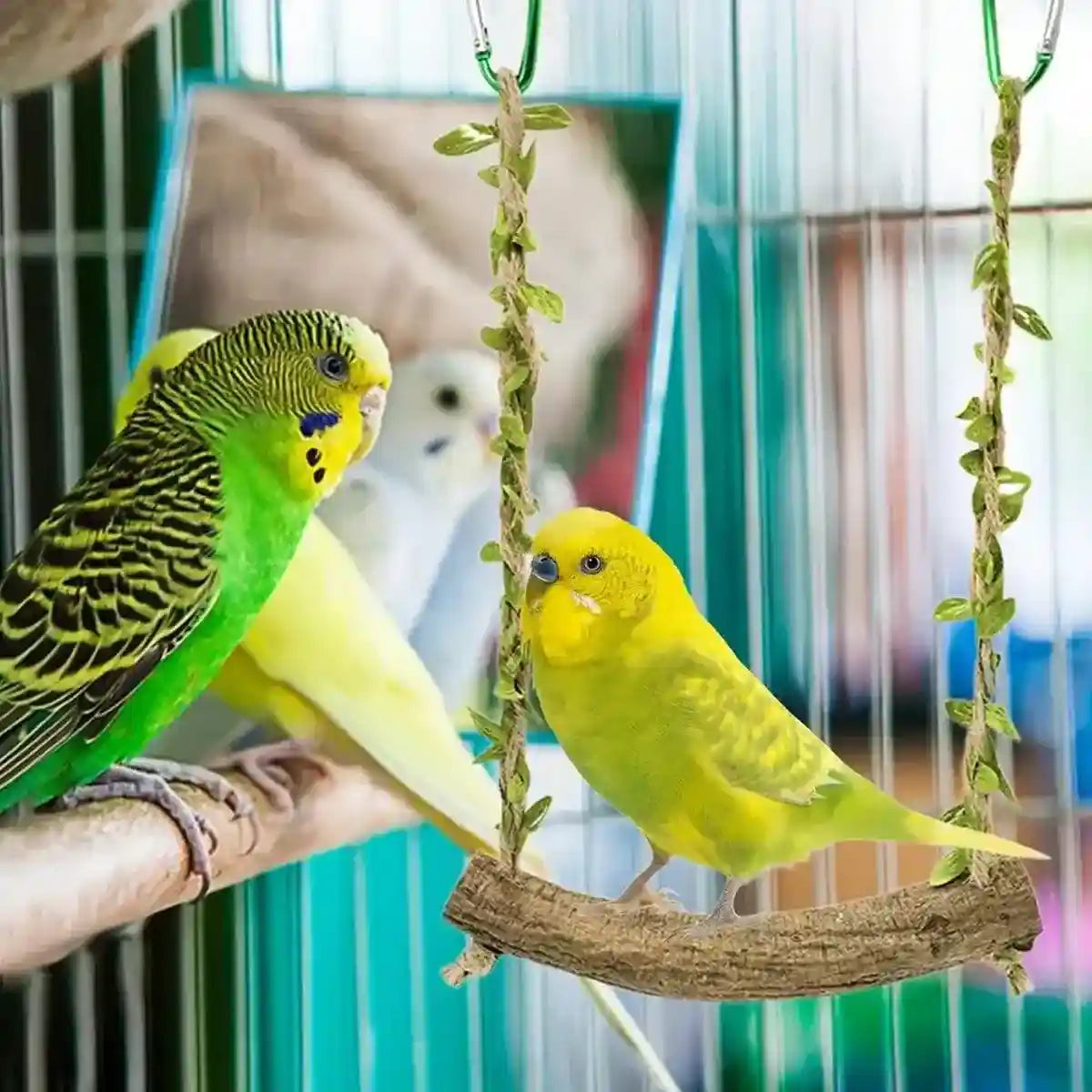 Durable Bird Swing with Natural Rattan Perch for Parrots & Cockatiels
