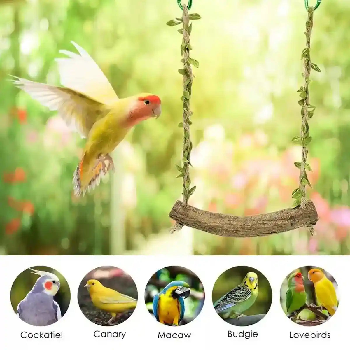 Durable Bird Swing with Natural Rattan Perch for Parrots & Cockatiels