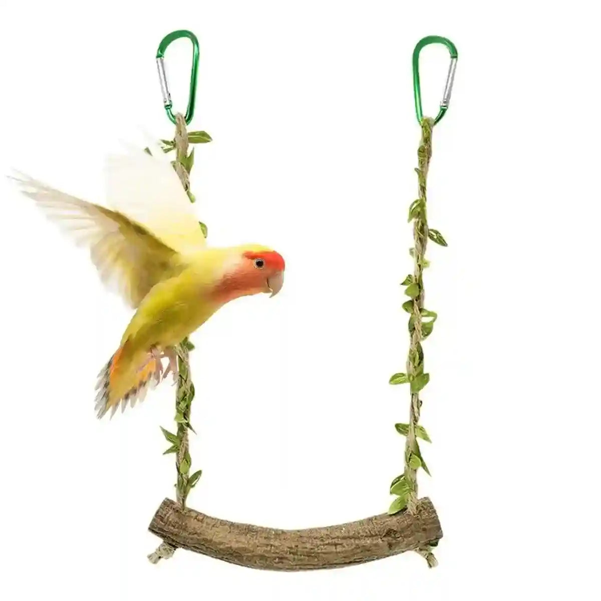 Durable Bird Swing with Natural Rattan Perch for Parrots & Cockatiels