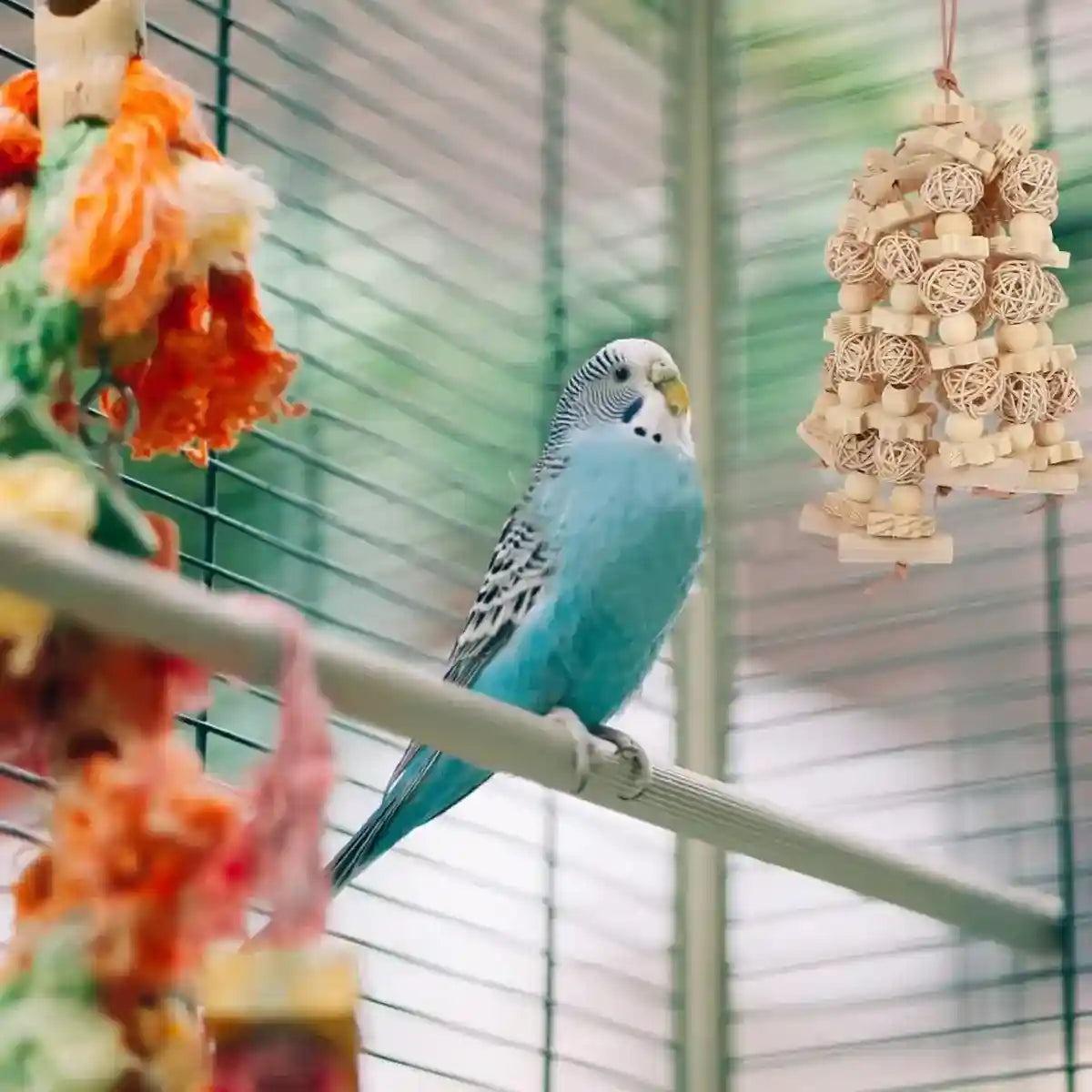 Natural Wooden Cage Accessory Bird Chew Toy for Parrots & Budgies