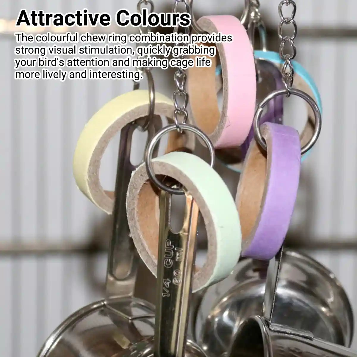 Stainless Steel Parrot Toy Bell & Colourful Paper Rings for Birds