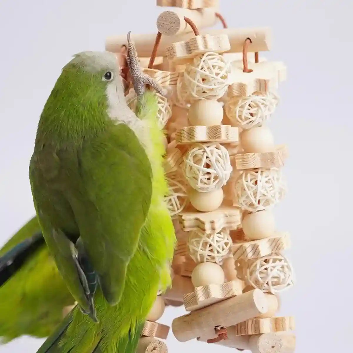 Natural Wooden Cage Accessory Bird Chew Toy for Parrots & Budgies