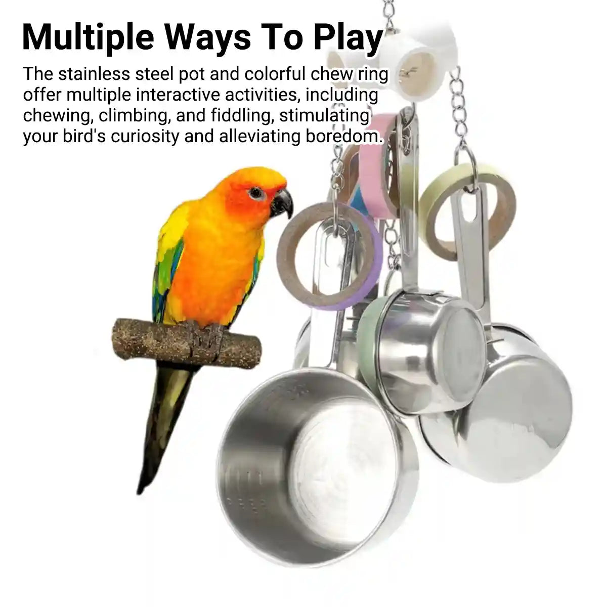 Stainless Steel Parrot Toy Bell & Colourful Paper Rings for Birds