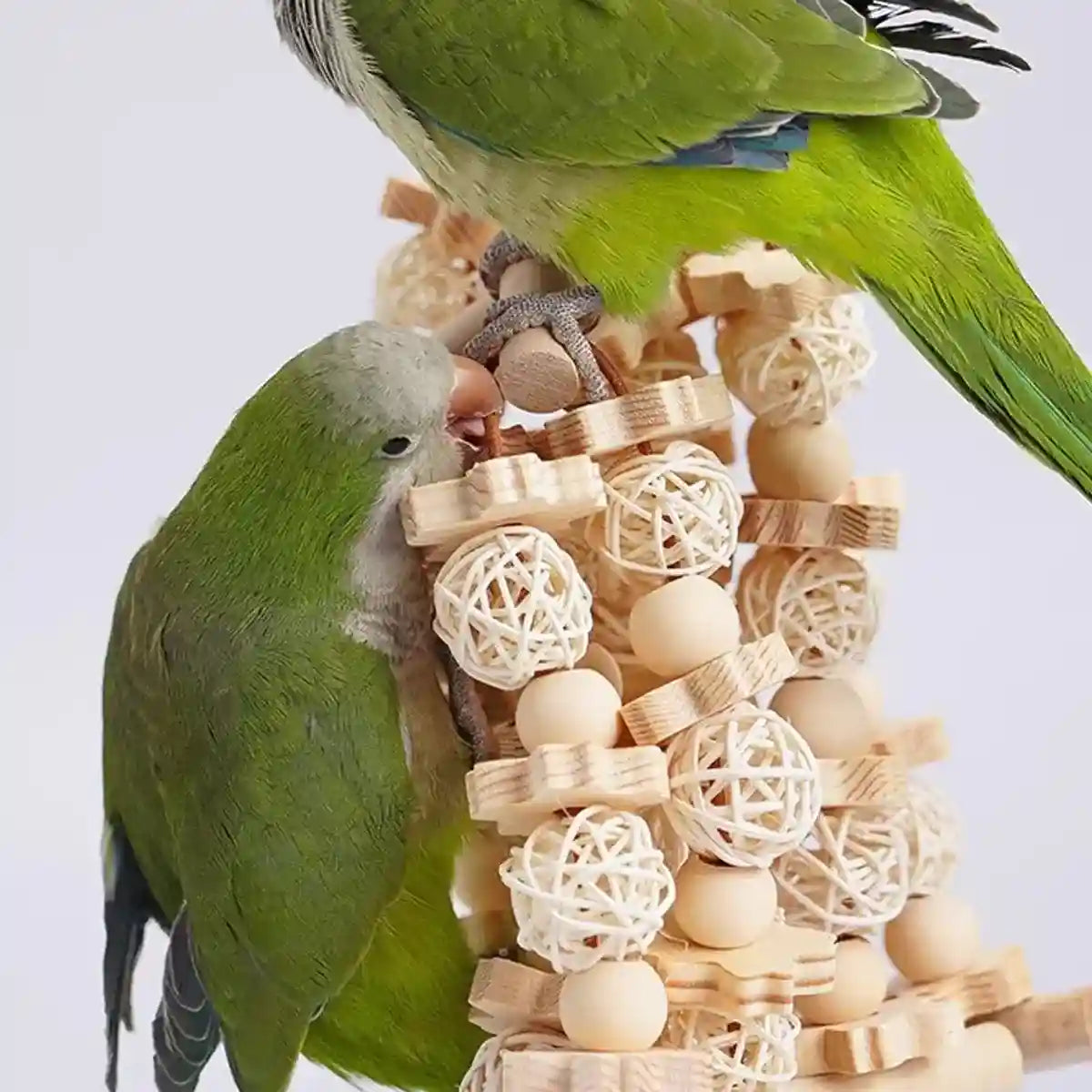 Natural Wooden Cage Accessory Bird Chew Toy for Parrots & Budgies
