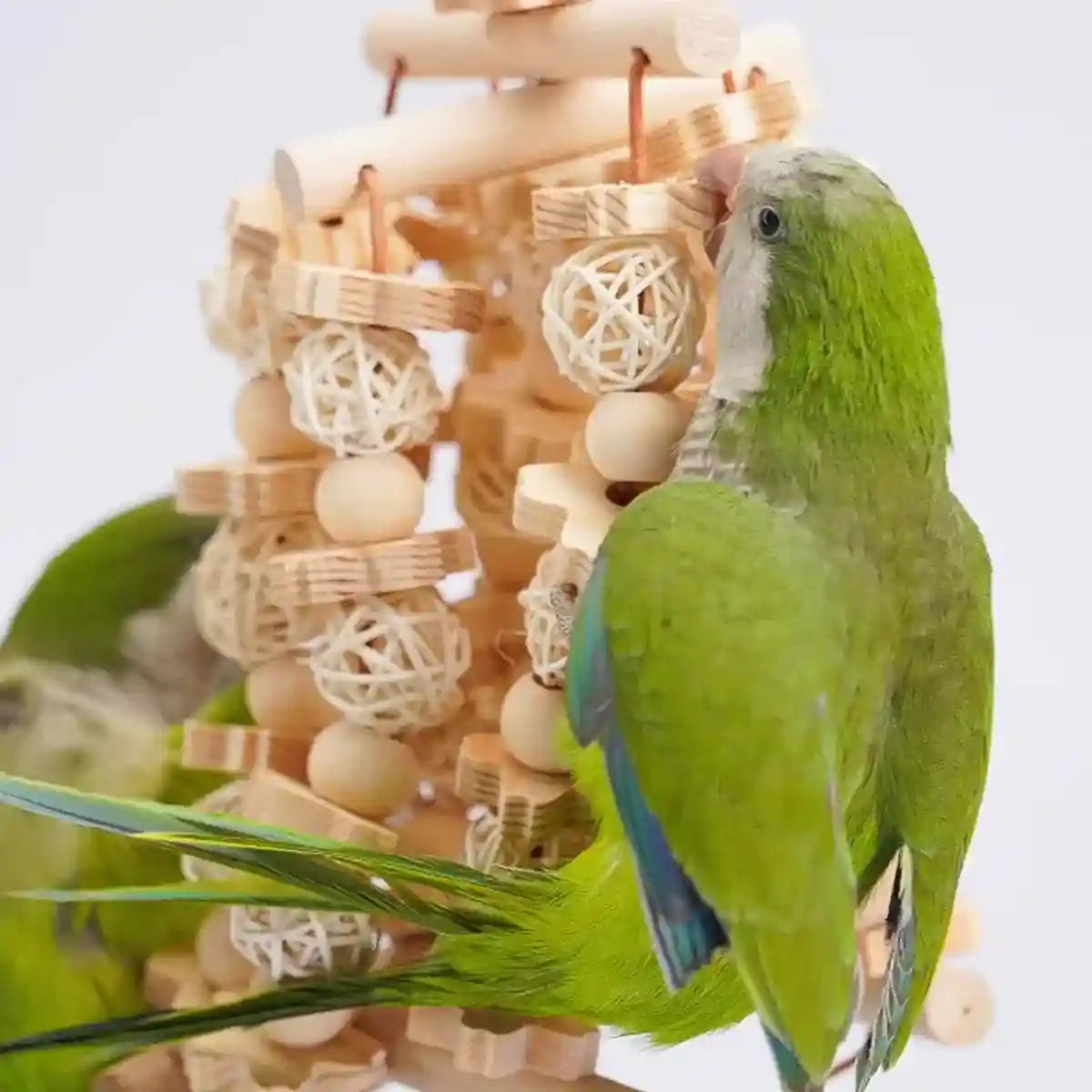 Natural Wooden Cage Accessory Bird Chew Toy for Parrots & Budgies
