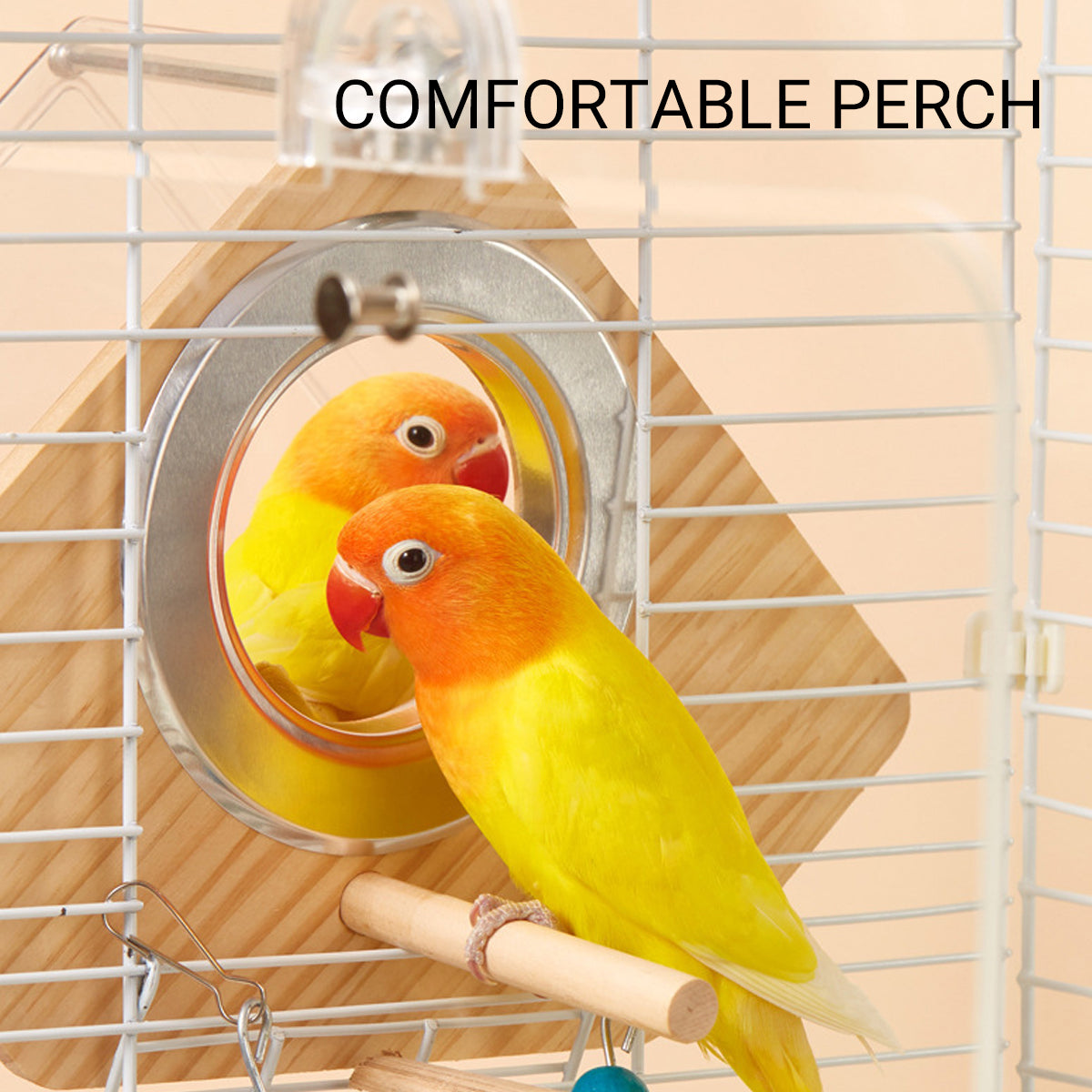 Transparent Bird Breeding Box With Perch