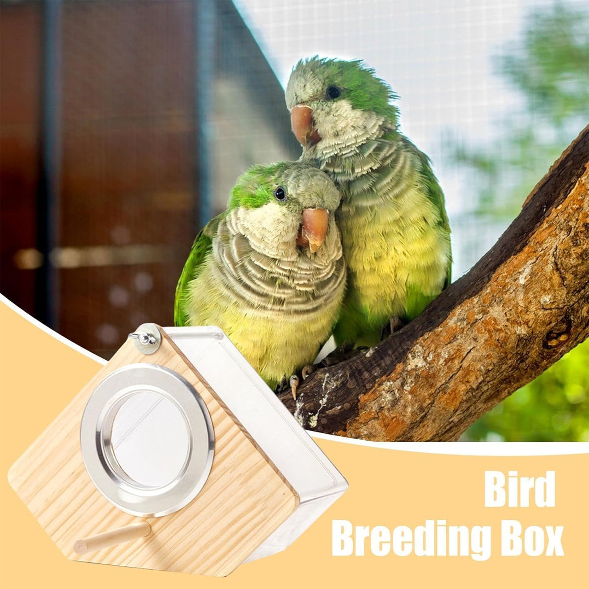Transparent Bird Breeding Box With Perch