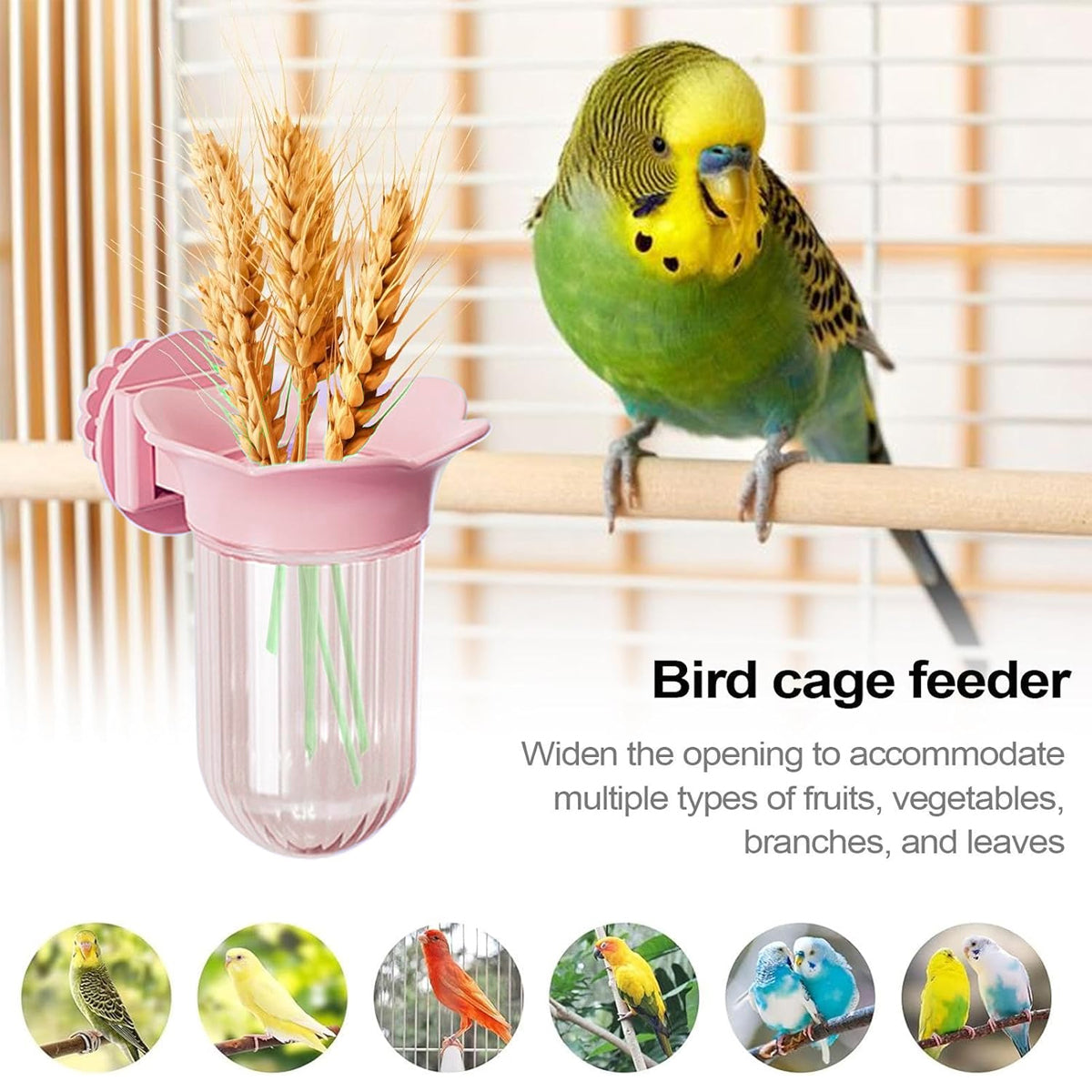 Hydroponic Bird Cage Feeder Cup Fruit & Vegetable Holder