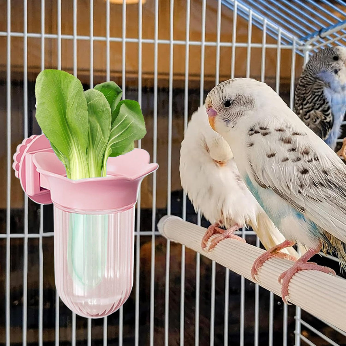 Hydroponic Bird Cage Feeder Cup Fruit & Vegetable Holder