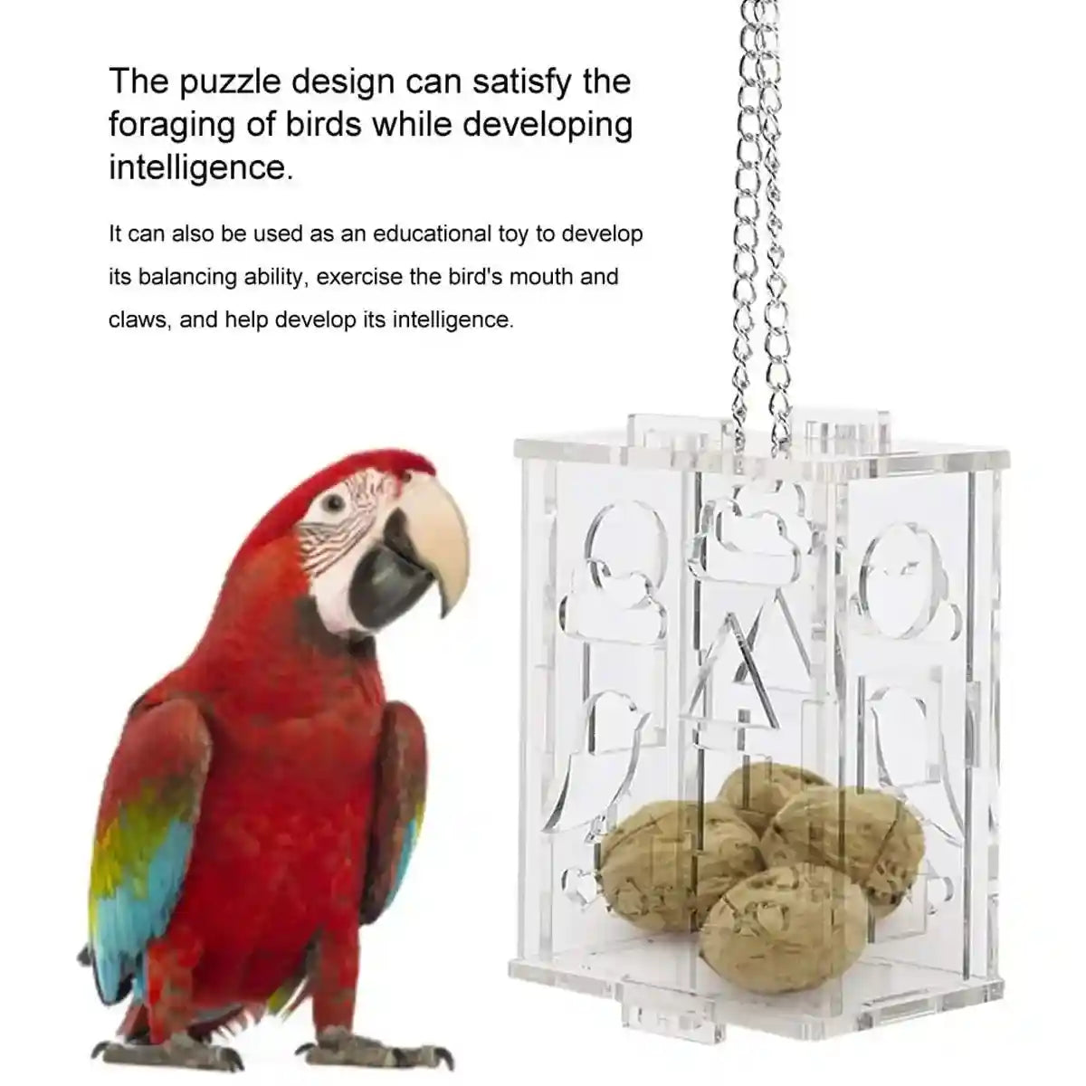 Acrylic Parrot Foraging Toy Hanging Puzzle Feeder Box