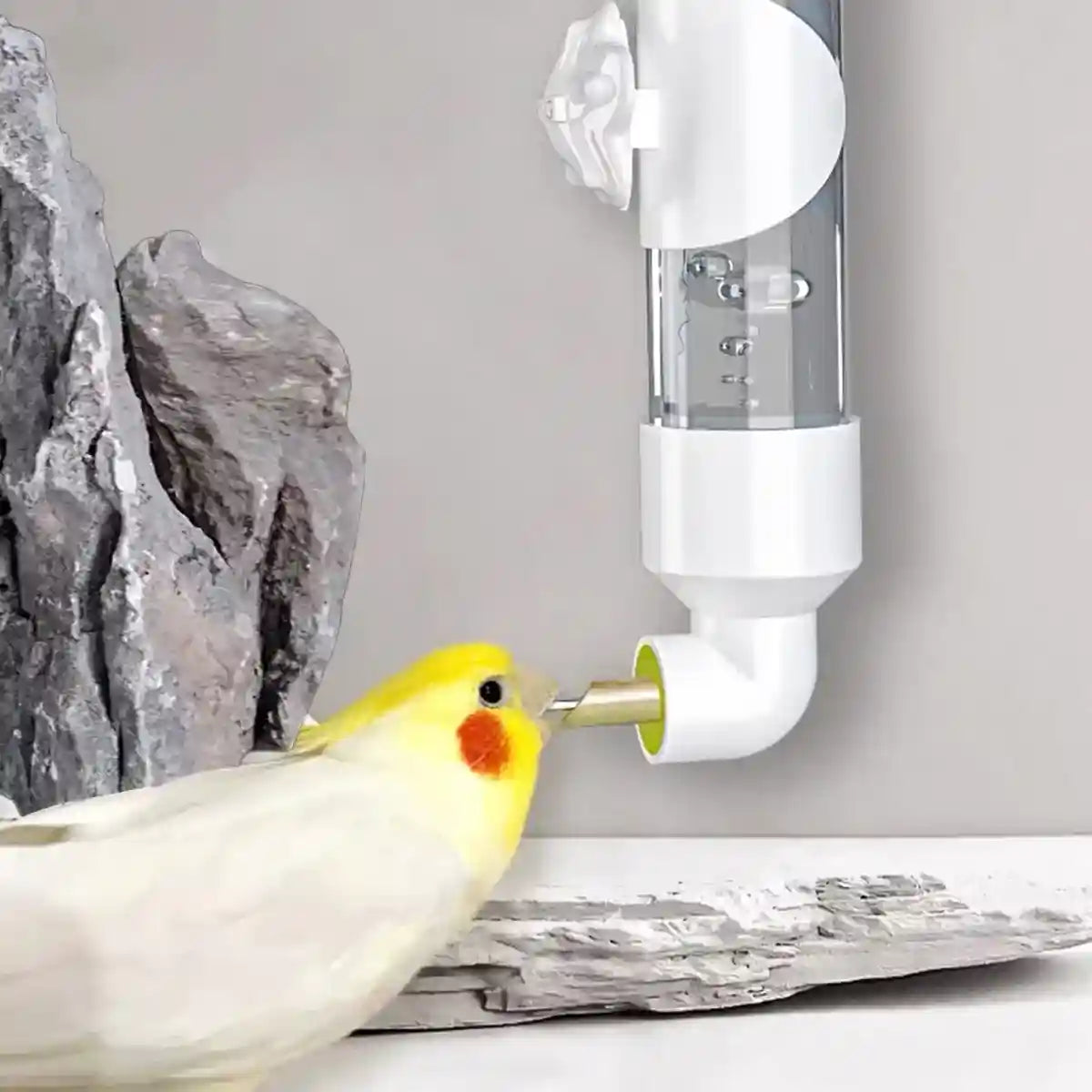 300ml Bird Water Dispenser with Needle Outlet