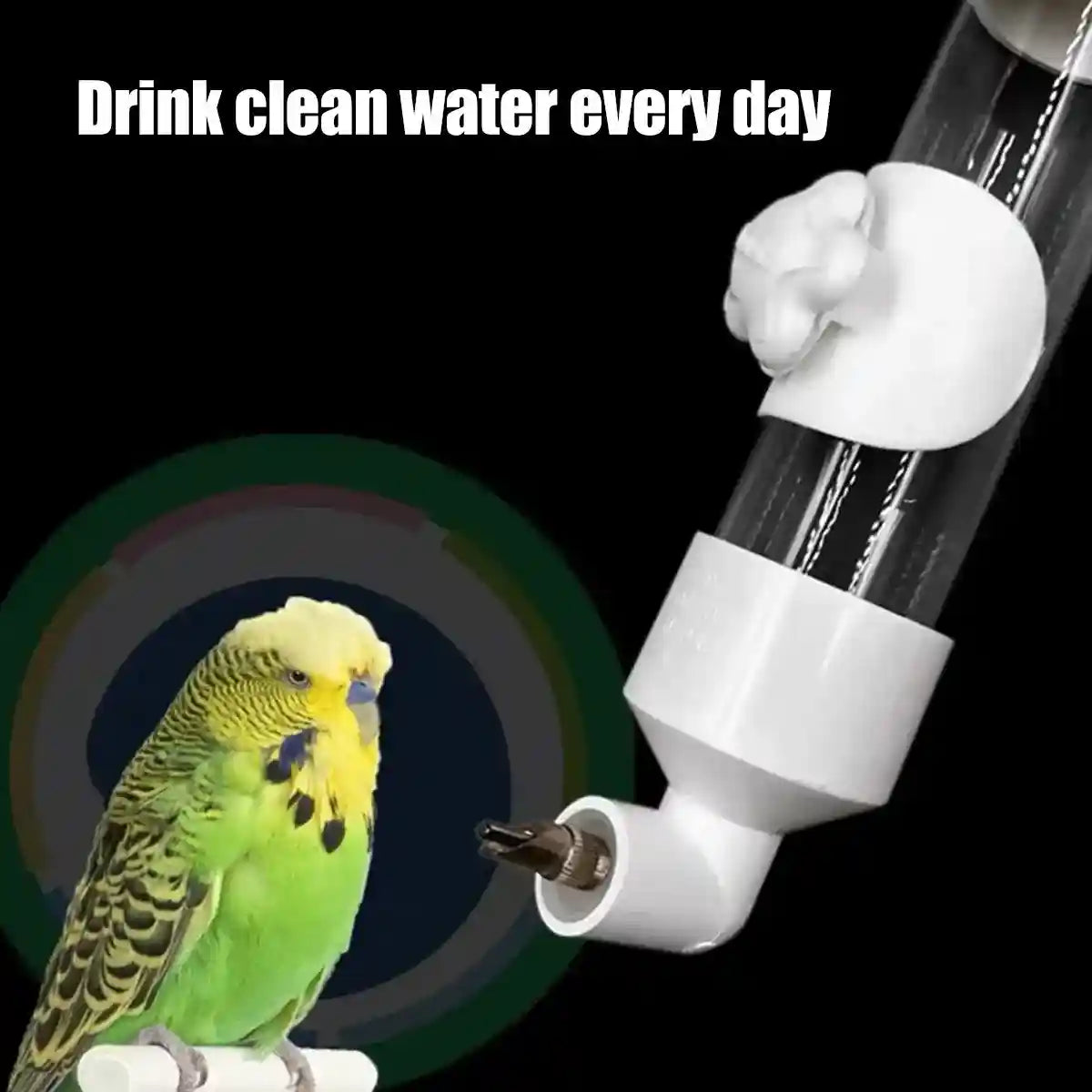 300ml Bird Water Dispenser with Needle Outlet