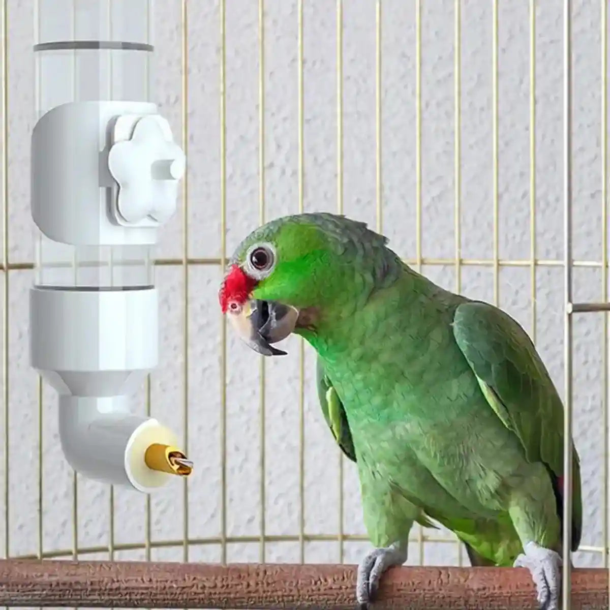 300ml Bird Water Dispenser with Needle Outlet