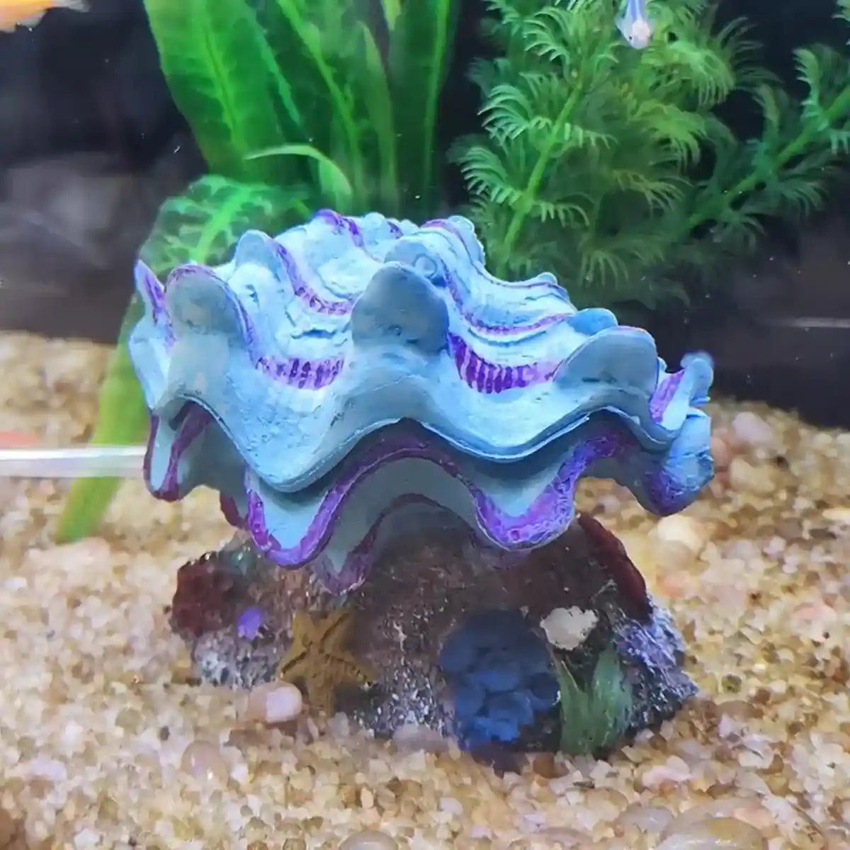 Animated Clam Shell Aquarium Decoration Air Pump Motion Ornament