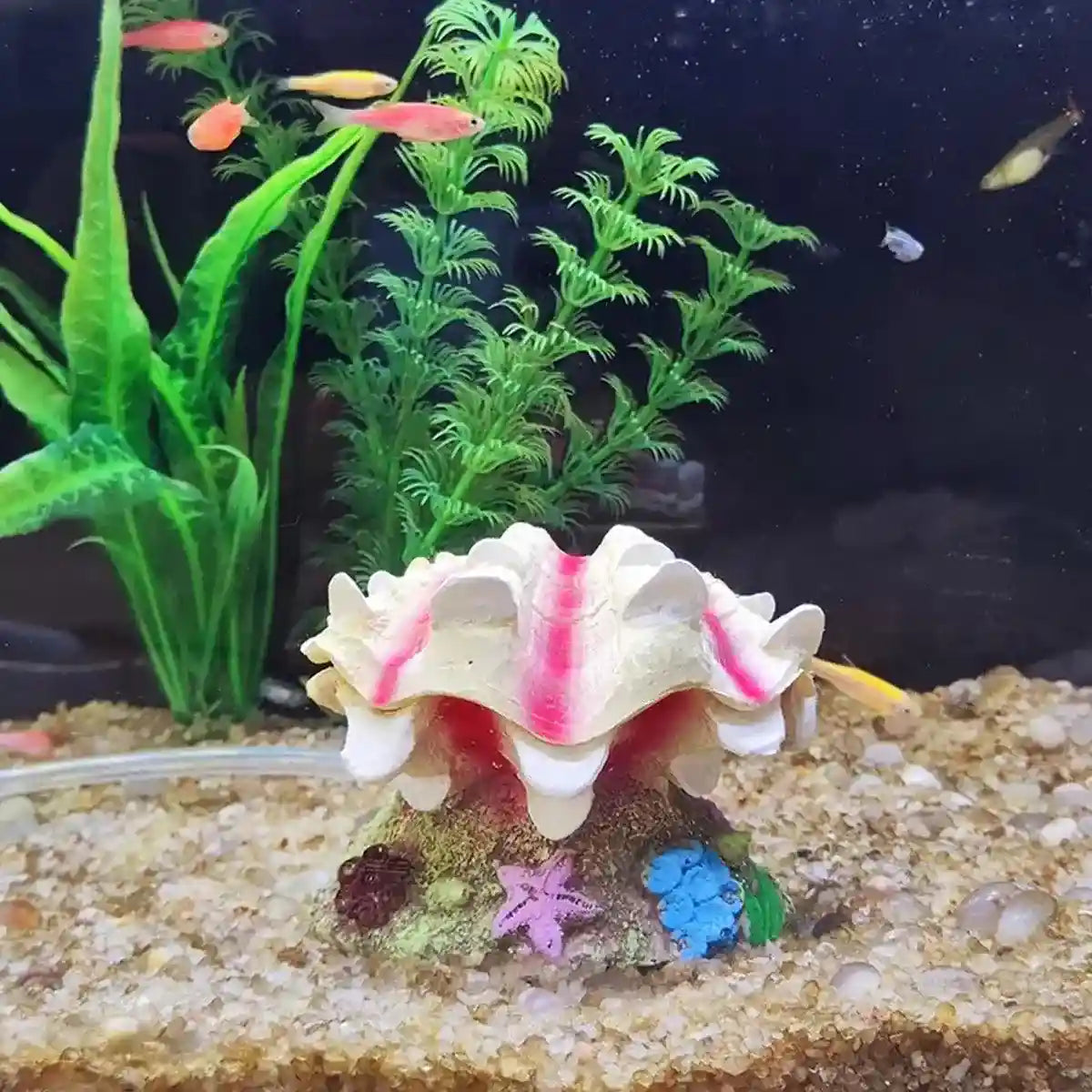 Animated Clam Shell Aquarium Decoration Air Pump Motion Ornament