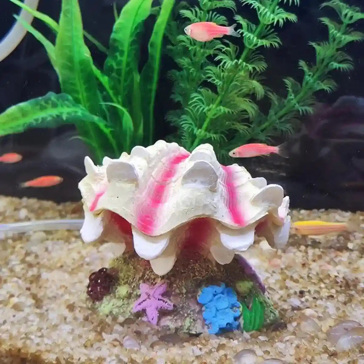 Animated Clam Shell Aquarium Decoration Air Pump Motion Ornament