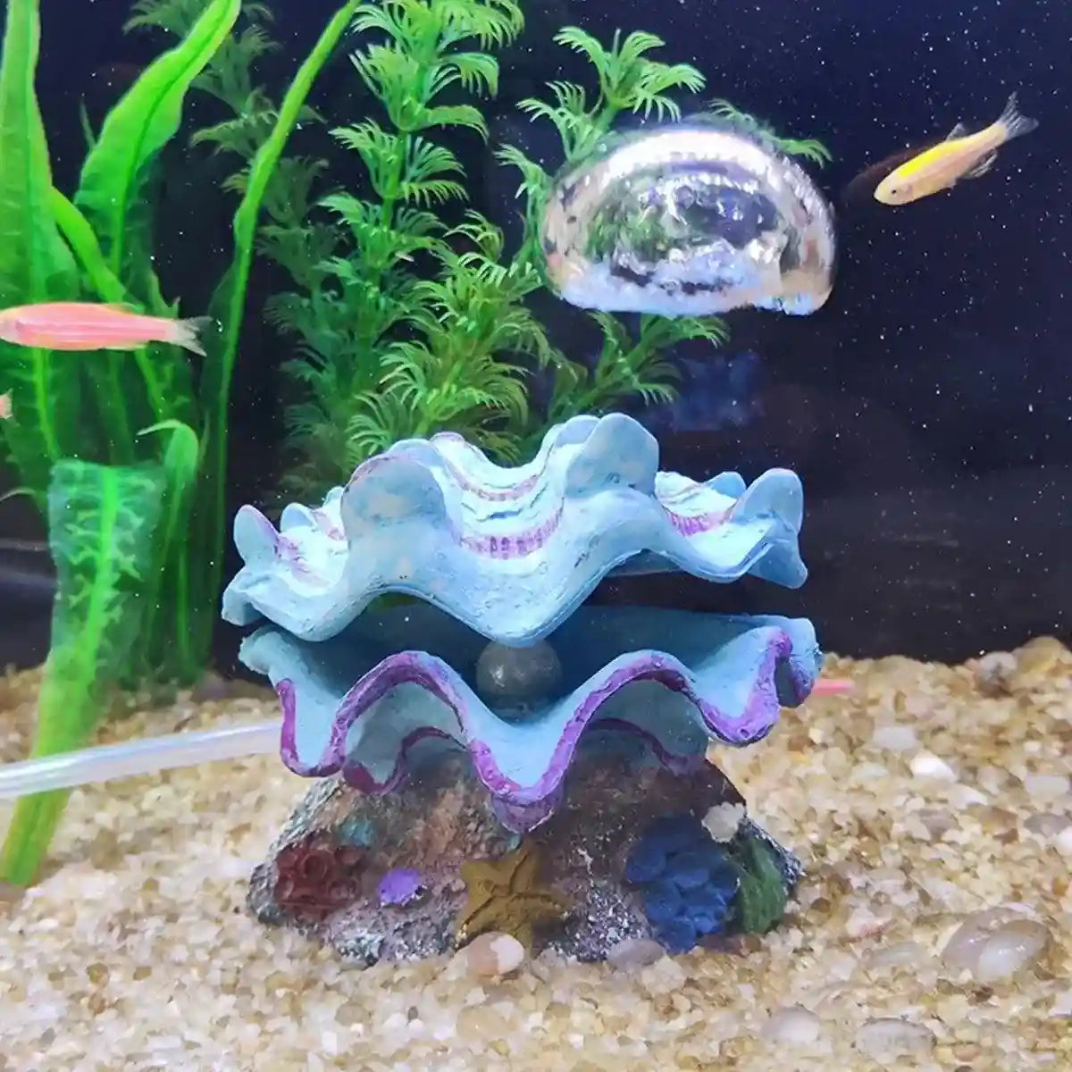 Animated Clam Shell Aquarium Decoration Air Pump Motion Ornament