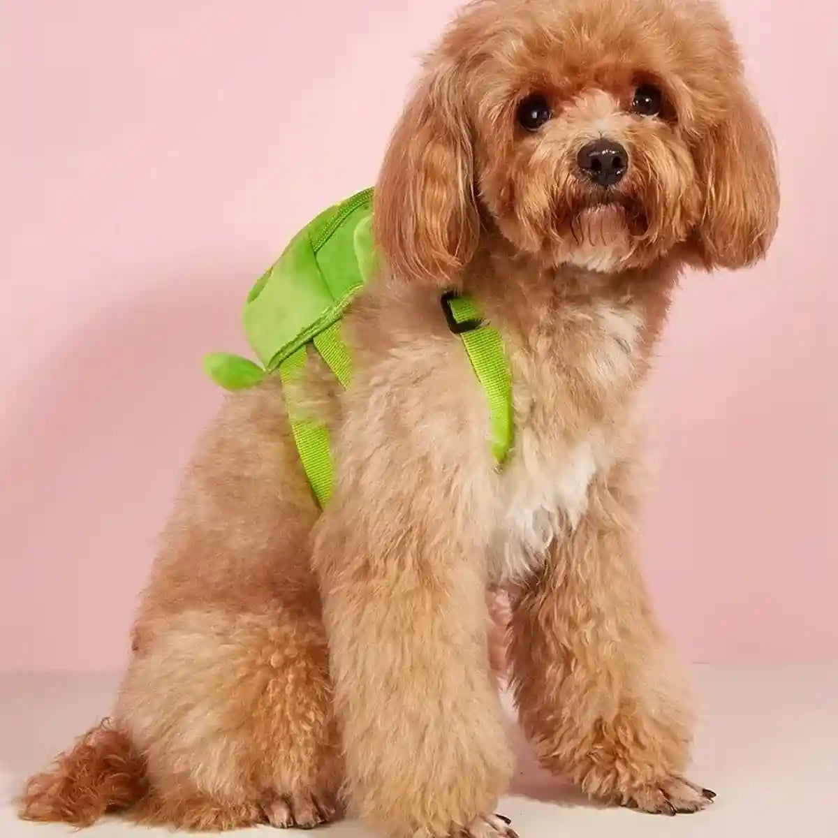 Turtle Dog Backpack Harness Cute Adjustable Carrier for Small Pets