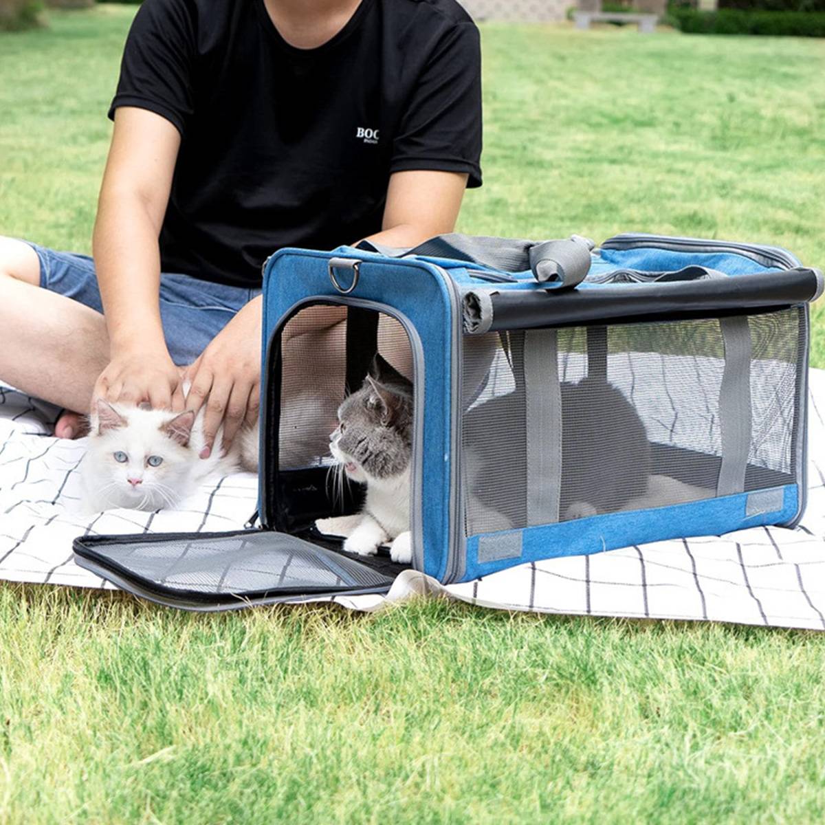 Cat Carrier Backpack - Foldable Breathable Pet Travel Bag