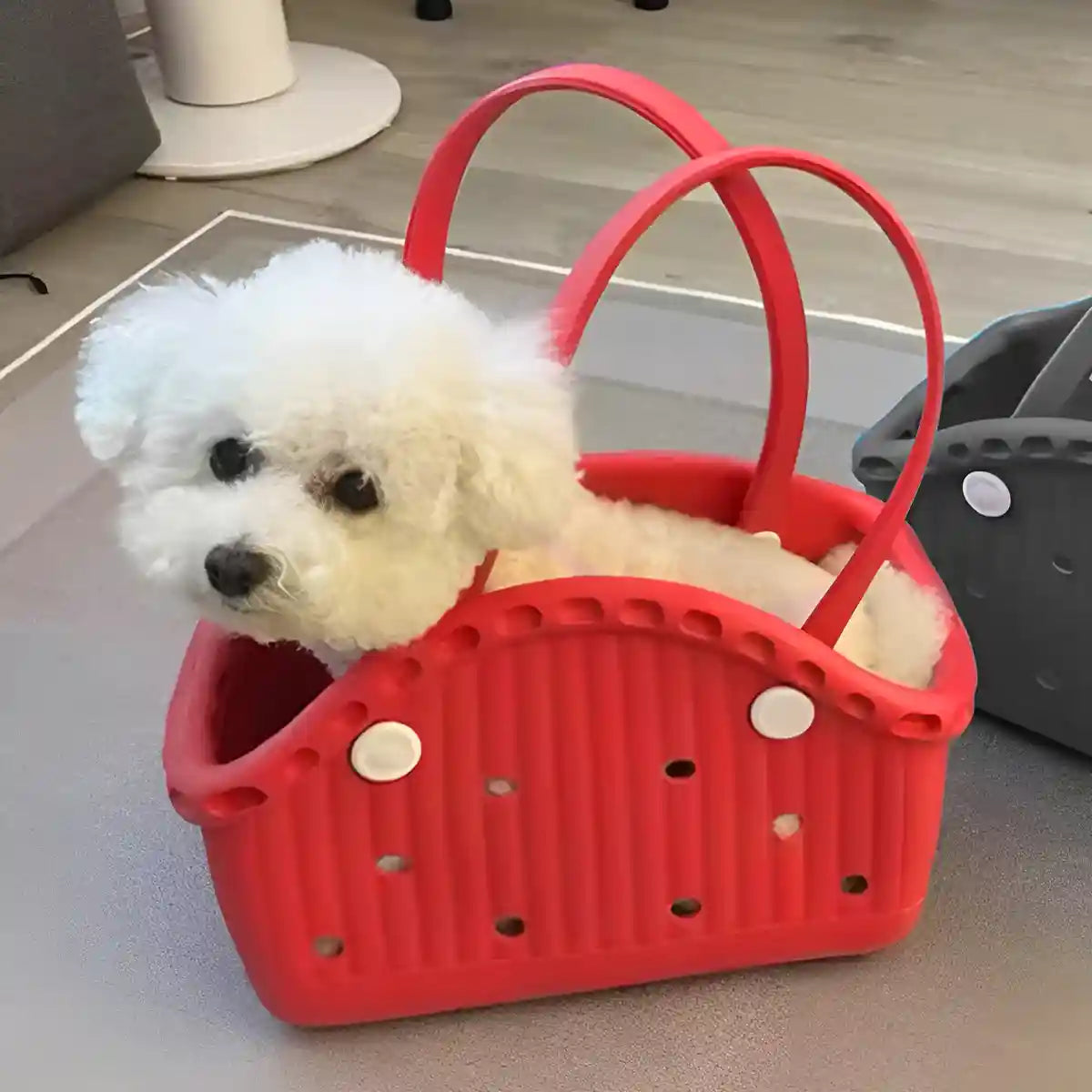 Portable EVA Dog Carrier Bag for Small Pets with Waterproof Design