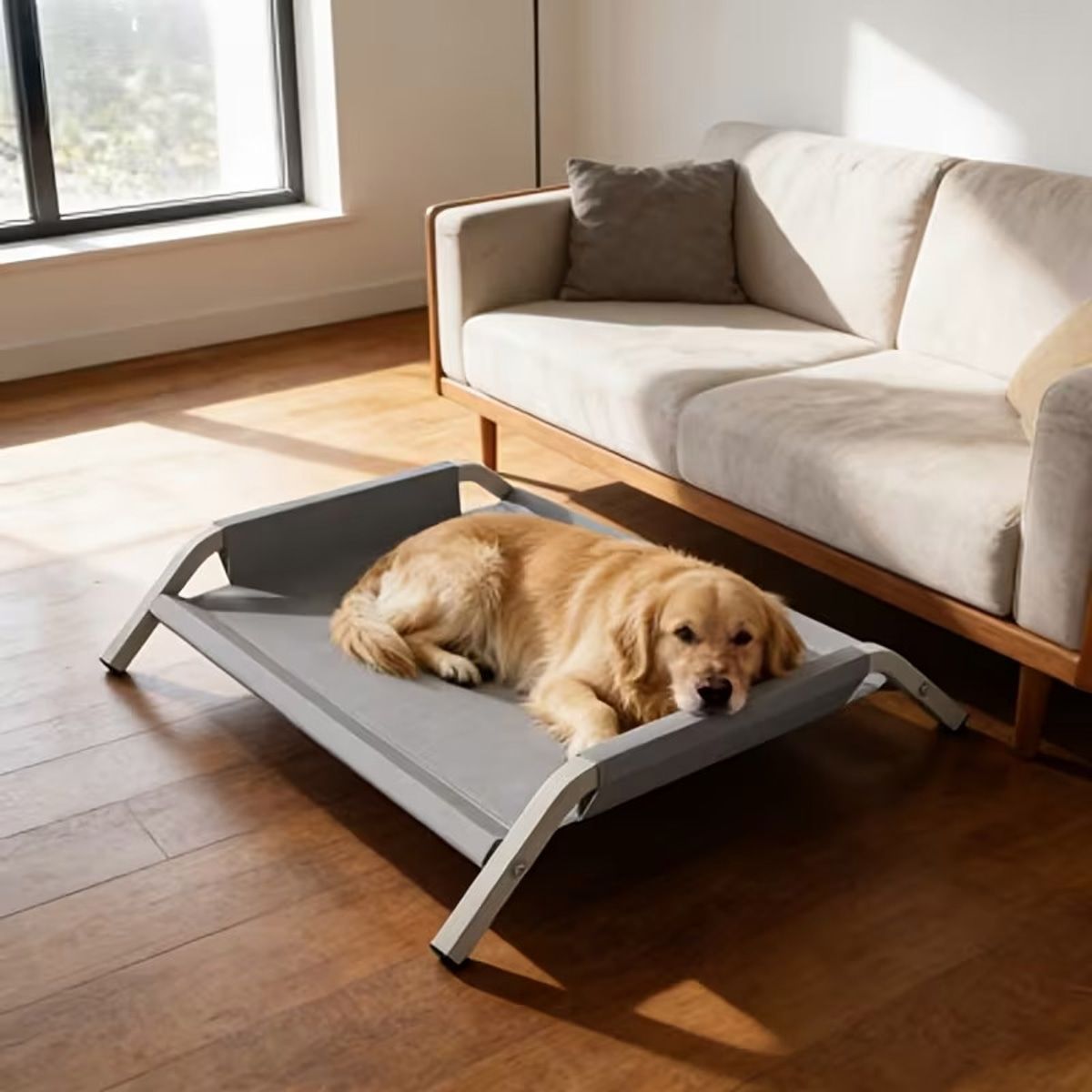 Large Elevated Dog Bed with Breathable Mesh