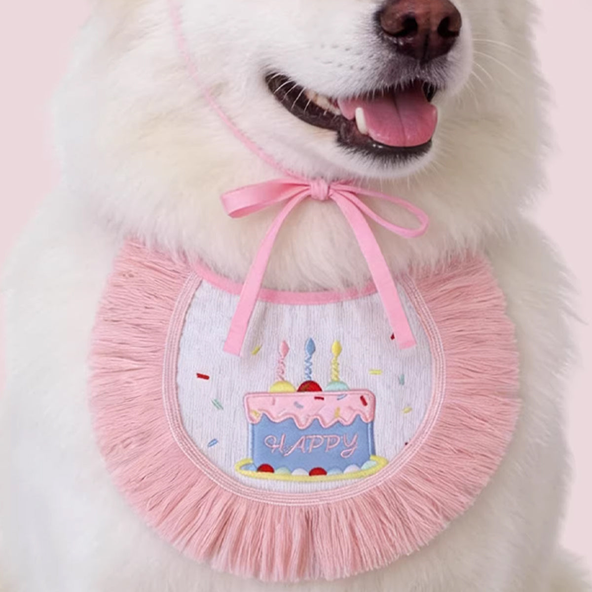 Pet Birthday Outfit Birthday Bib And Hat Set