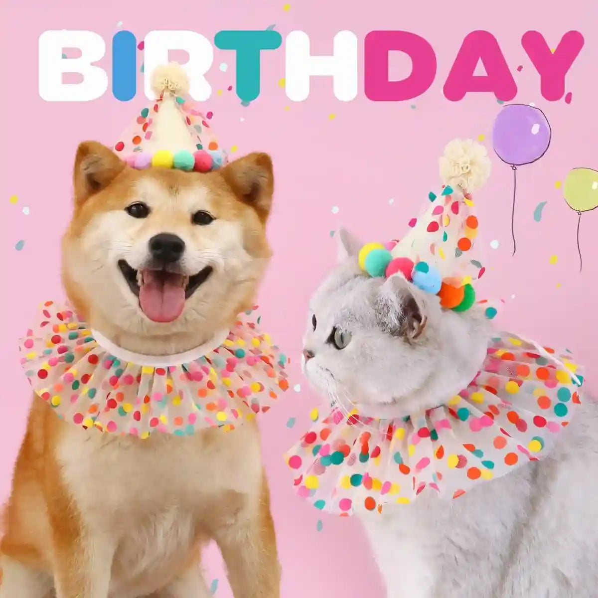 Cute Pet Birthday Dress Up Set with Hat and Ruffle Collar