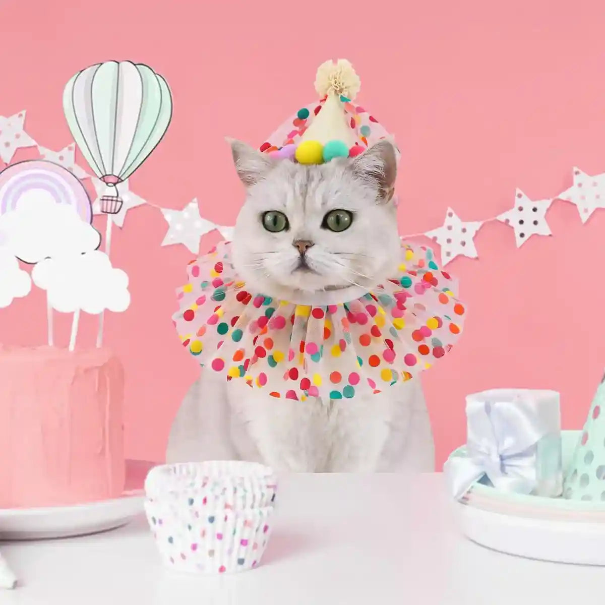 Cute Pet Birthday Dress Up Set with Hat and Ruffle Collar