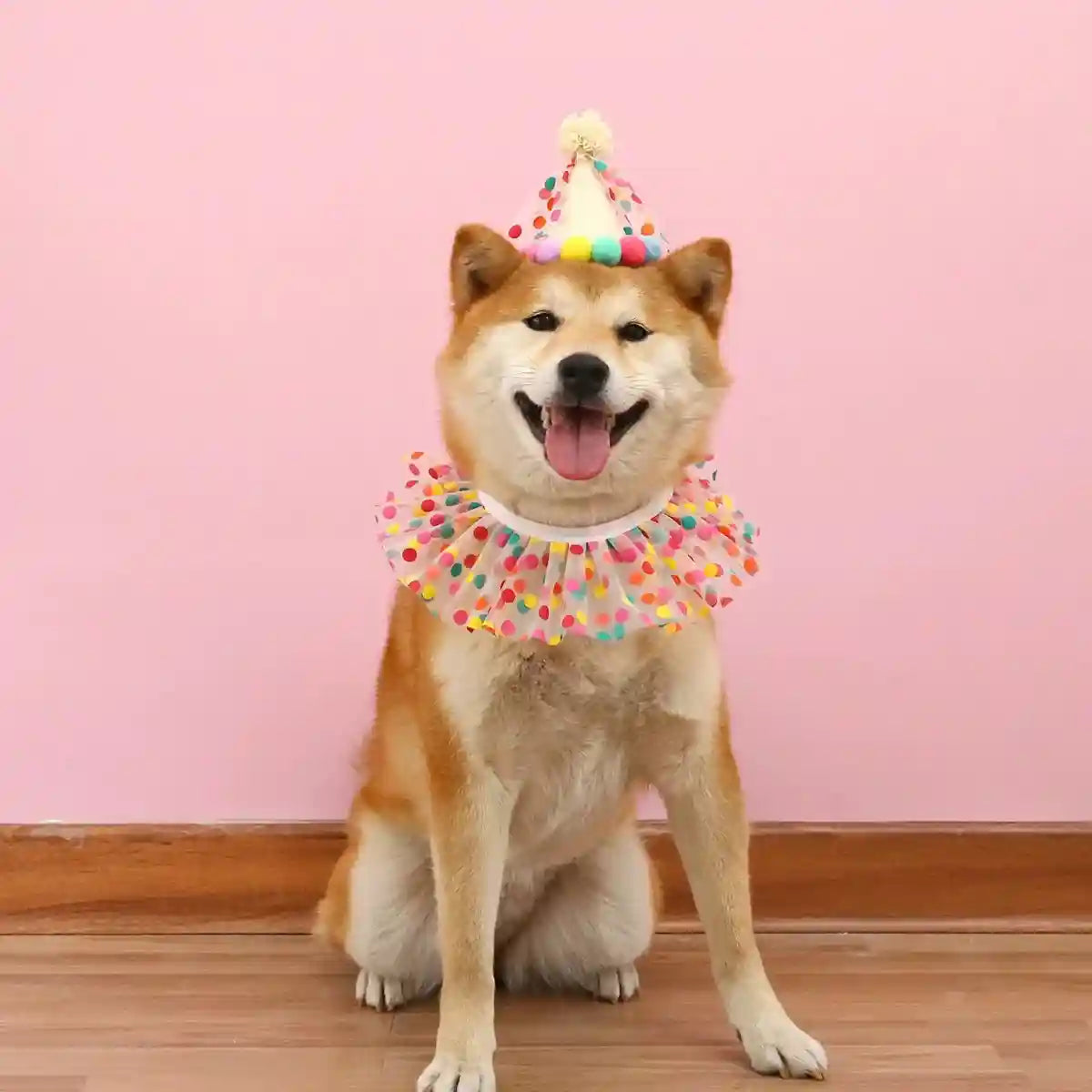 Cute Pet Birthday Dress Up Set with Hat and Ruffle Collar