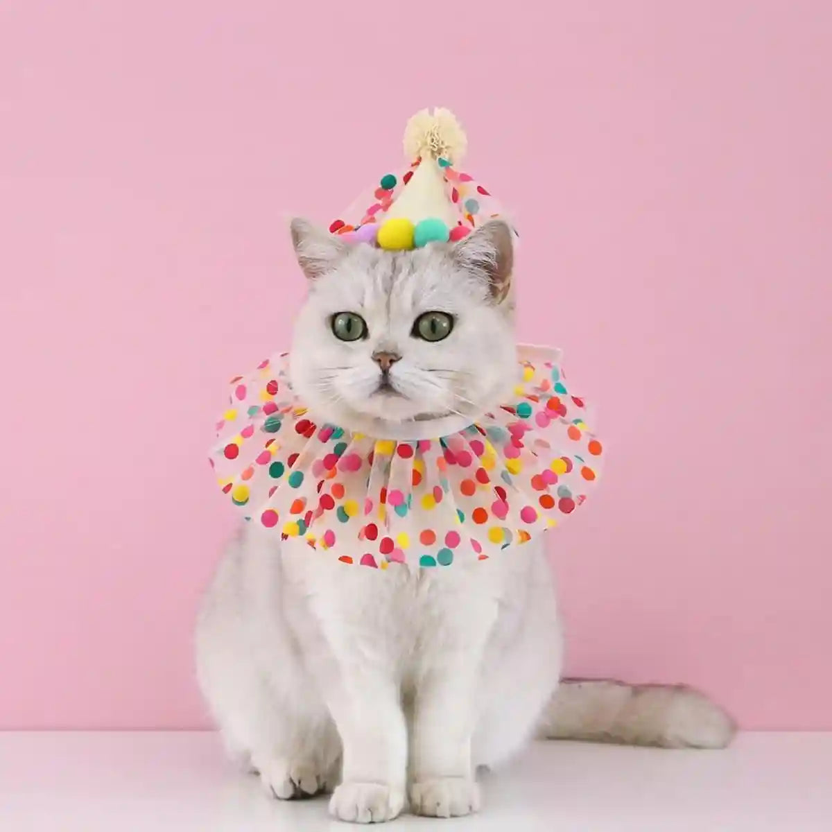 Cute Pet Birthday Dress Up Set with Hat and Ruffle Collar