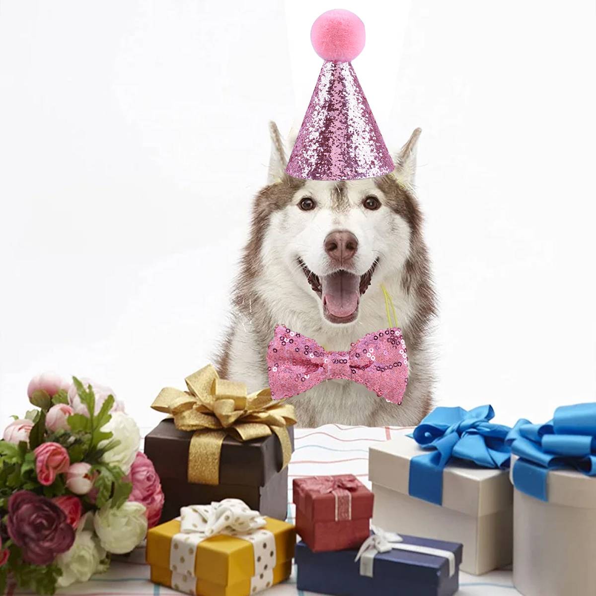 Pet Birthday Hat Sequin Party Hat With Bow Tie