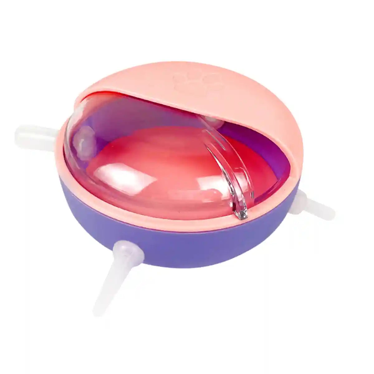 Newborn Pet Milk Feeder Bowl with 5 Silicone Nipples for Kittens & Pups