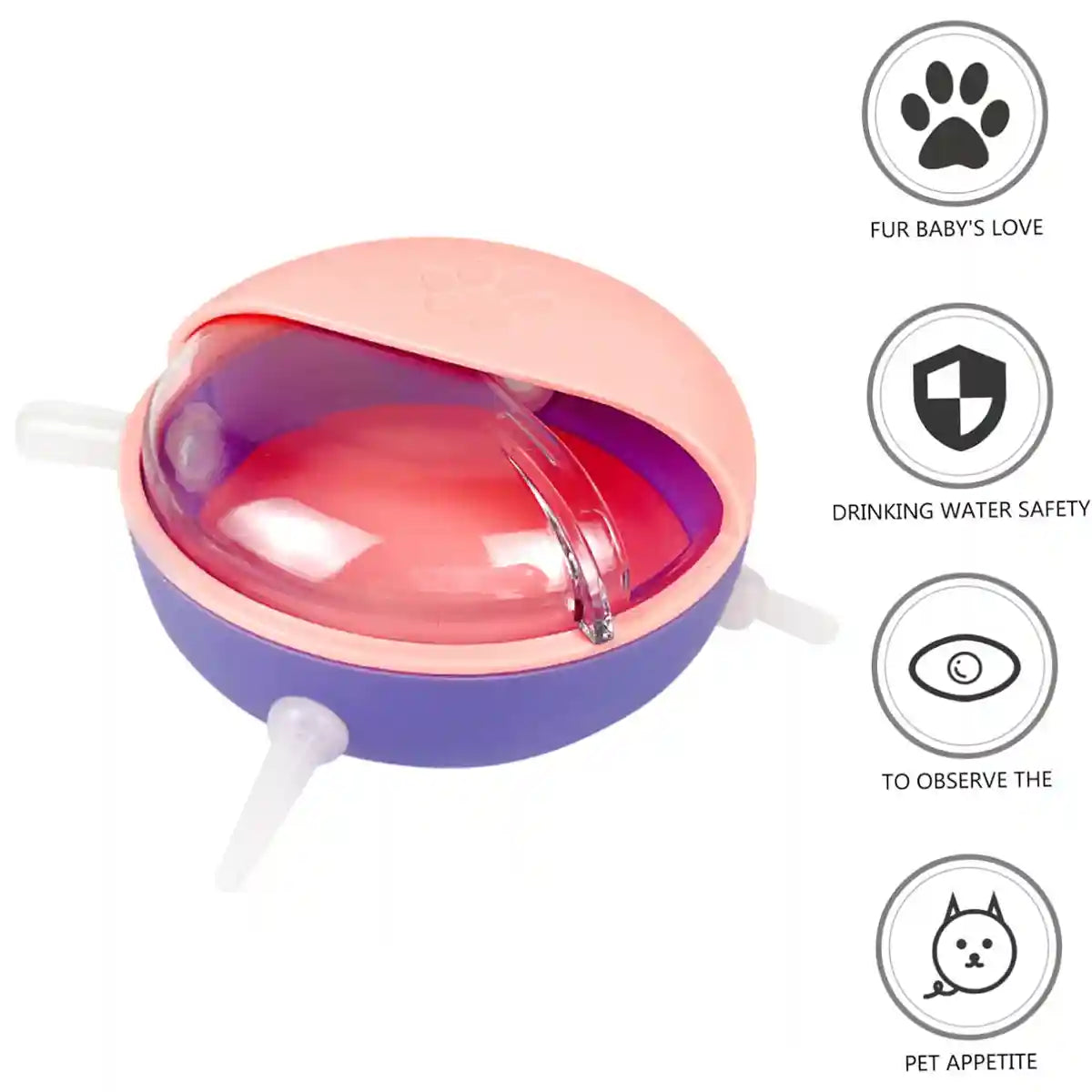Newborn Pet Milk Feeder Bowl with 5 Silicone Nipples for Kittens & Pups