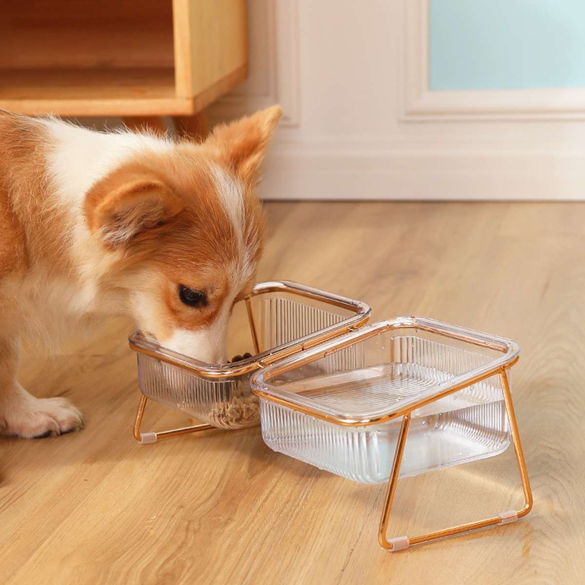 Raised Double Dog Bowls with 15° Angled Stand