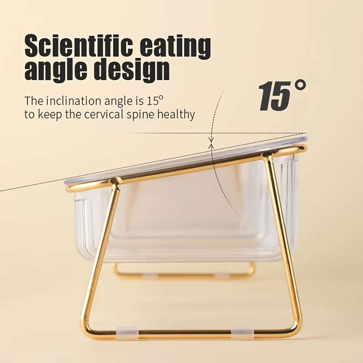 Raised Double Dog Bowls with 15° Angled Stand