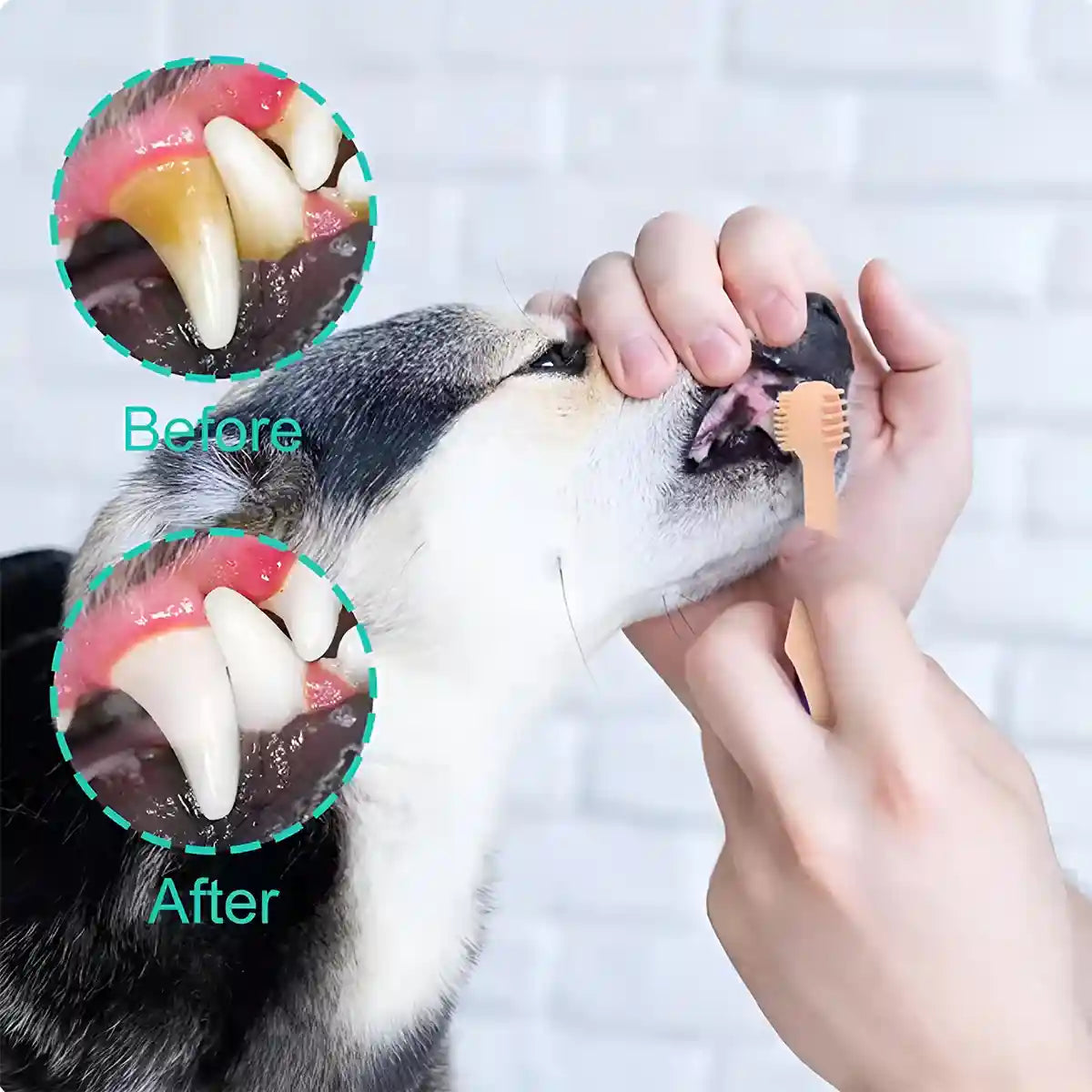 Silicone Pet Toothbrush for Dogs and Cats Gentle Dental Cleaning Brush