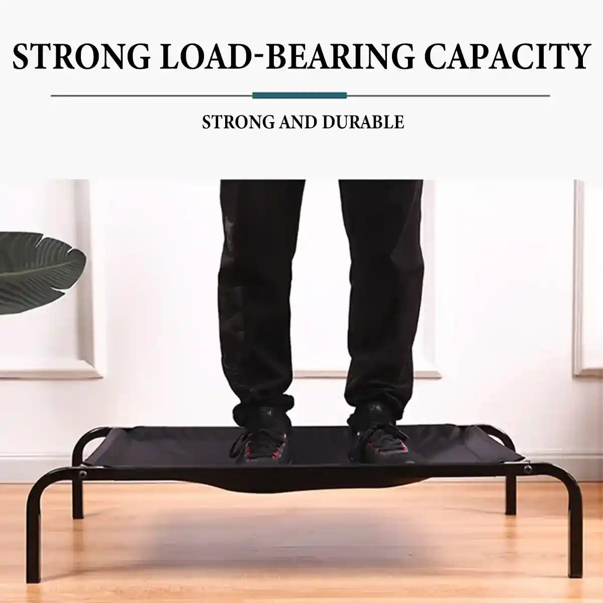 Elevated Breathable Pet Bed for Indoor and Outdoor Use