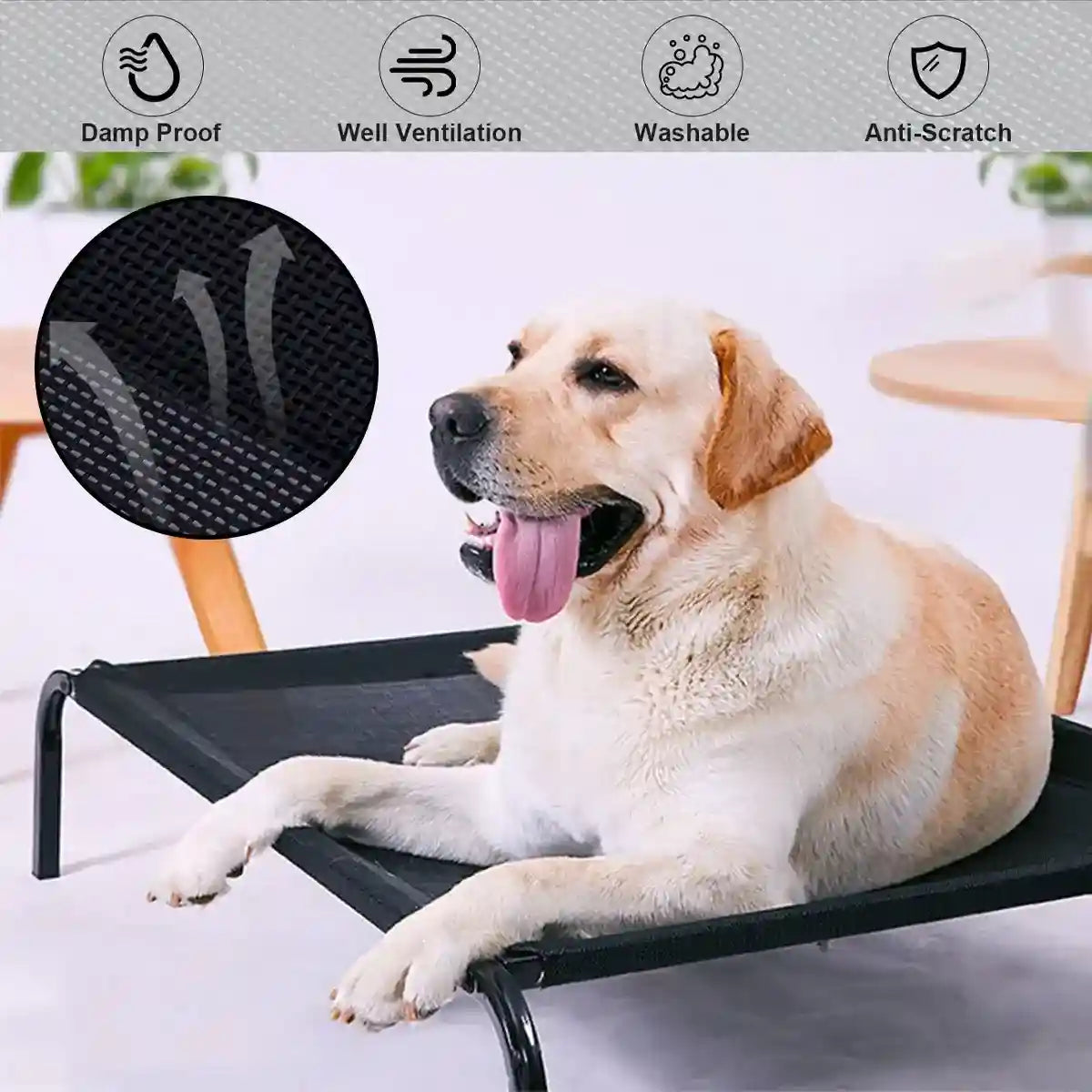 Elevated Breathable Pet Bed for Indoor and Outdoor Use