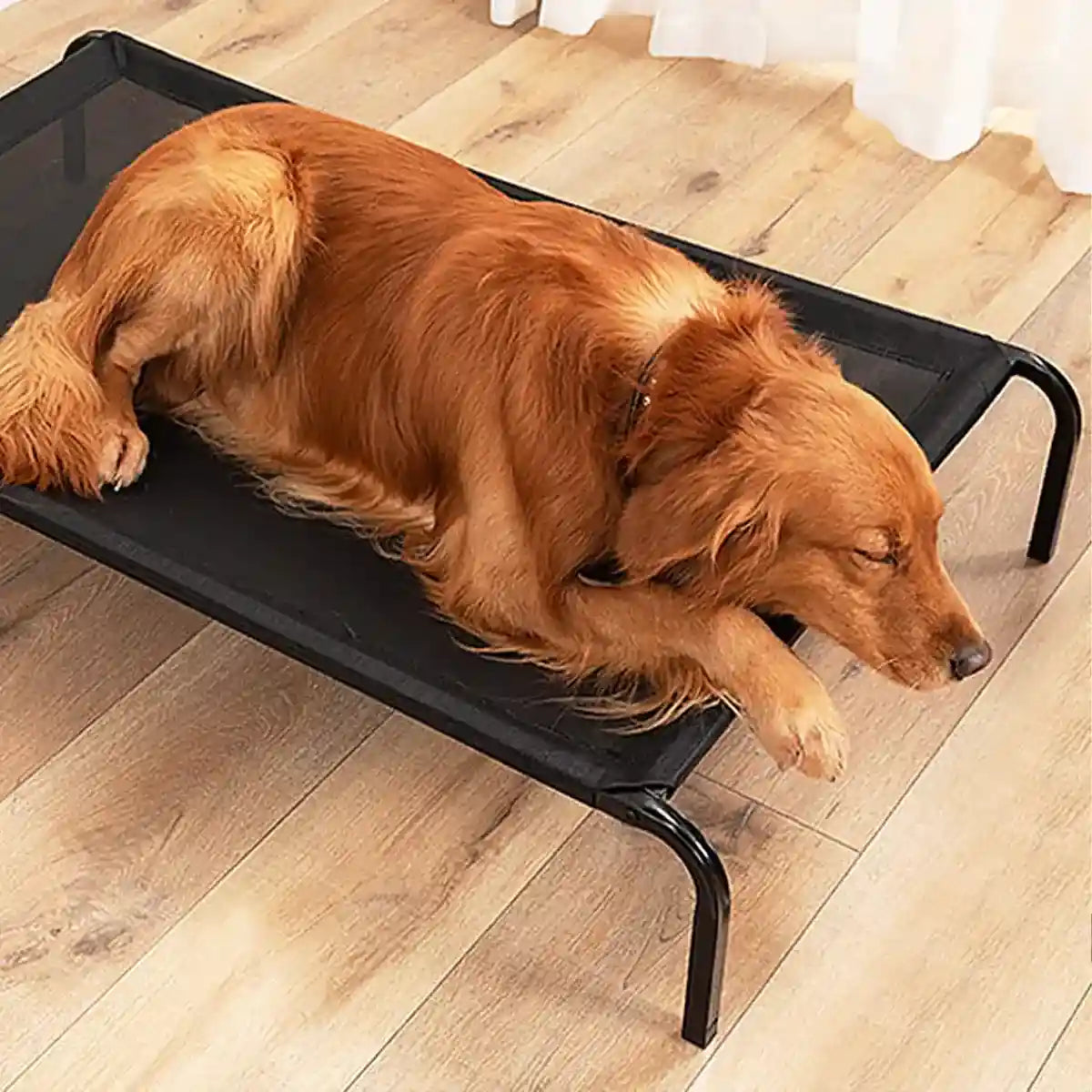 Elevated Breathable Pet Bed for Indoor and Outdoor Use