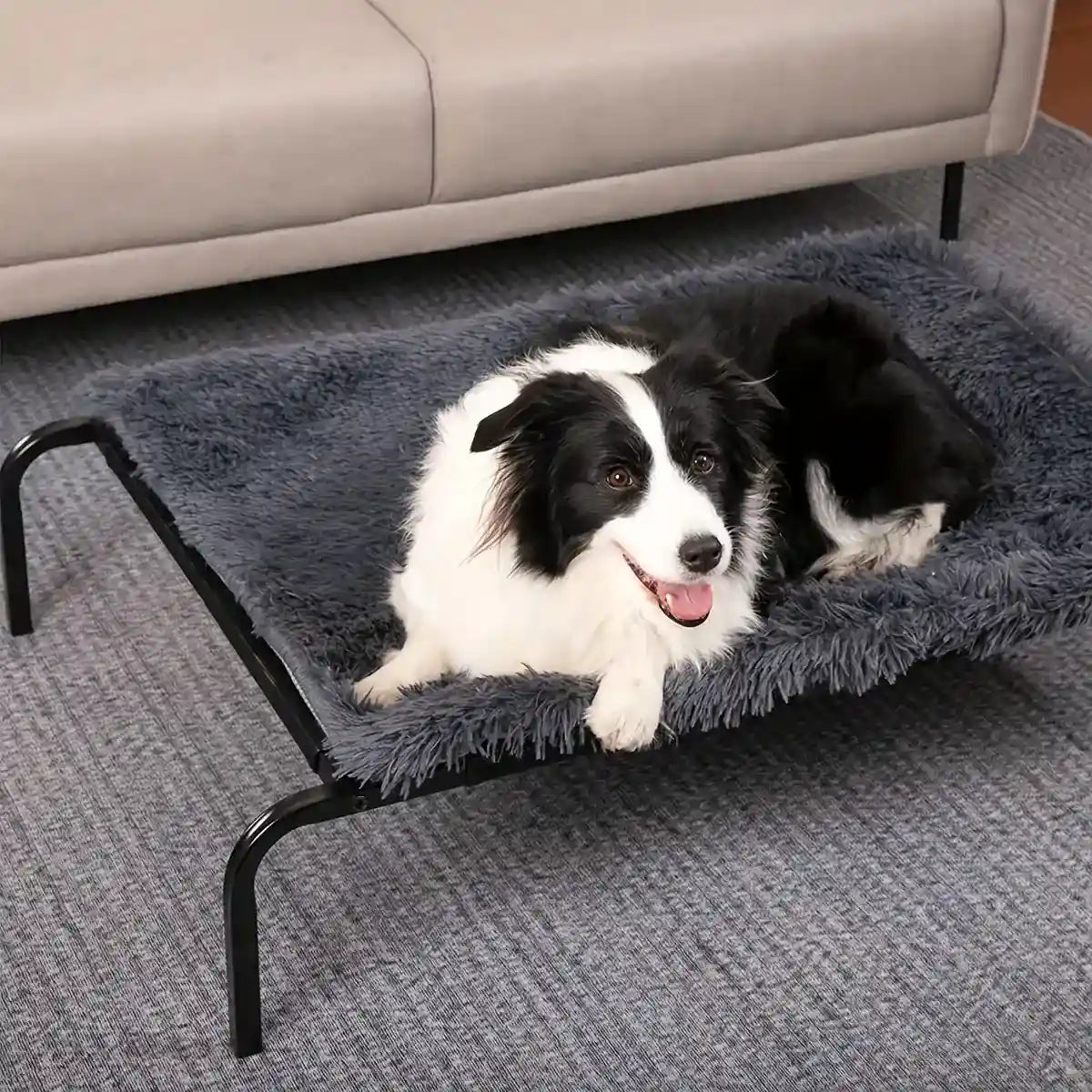 Elevated Breathable Pet Bed for Indoor and Outdoor Use