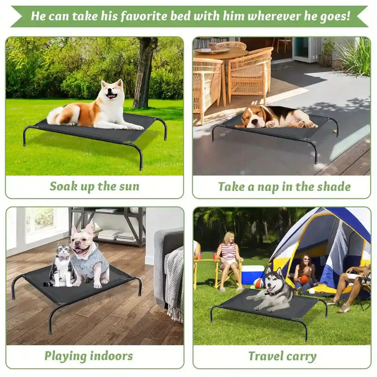 Elevated Breathable Pet Bed for Indoor and Outdoor Use