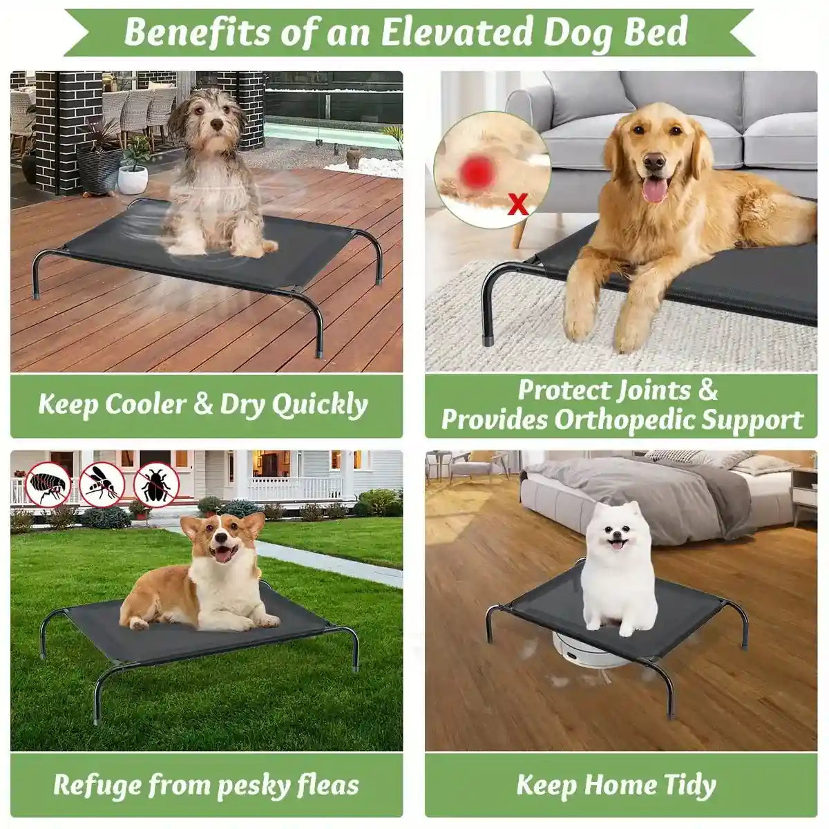 Elevated Breathable Pet Bed for Indoor and Outdoor Use