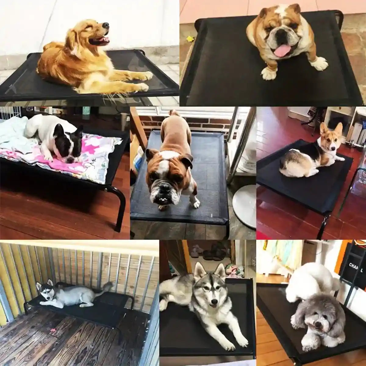 Elevated Breathable Pet Bed for Indoor and Outdoor Use